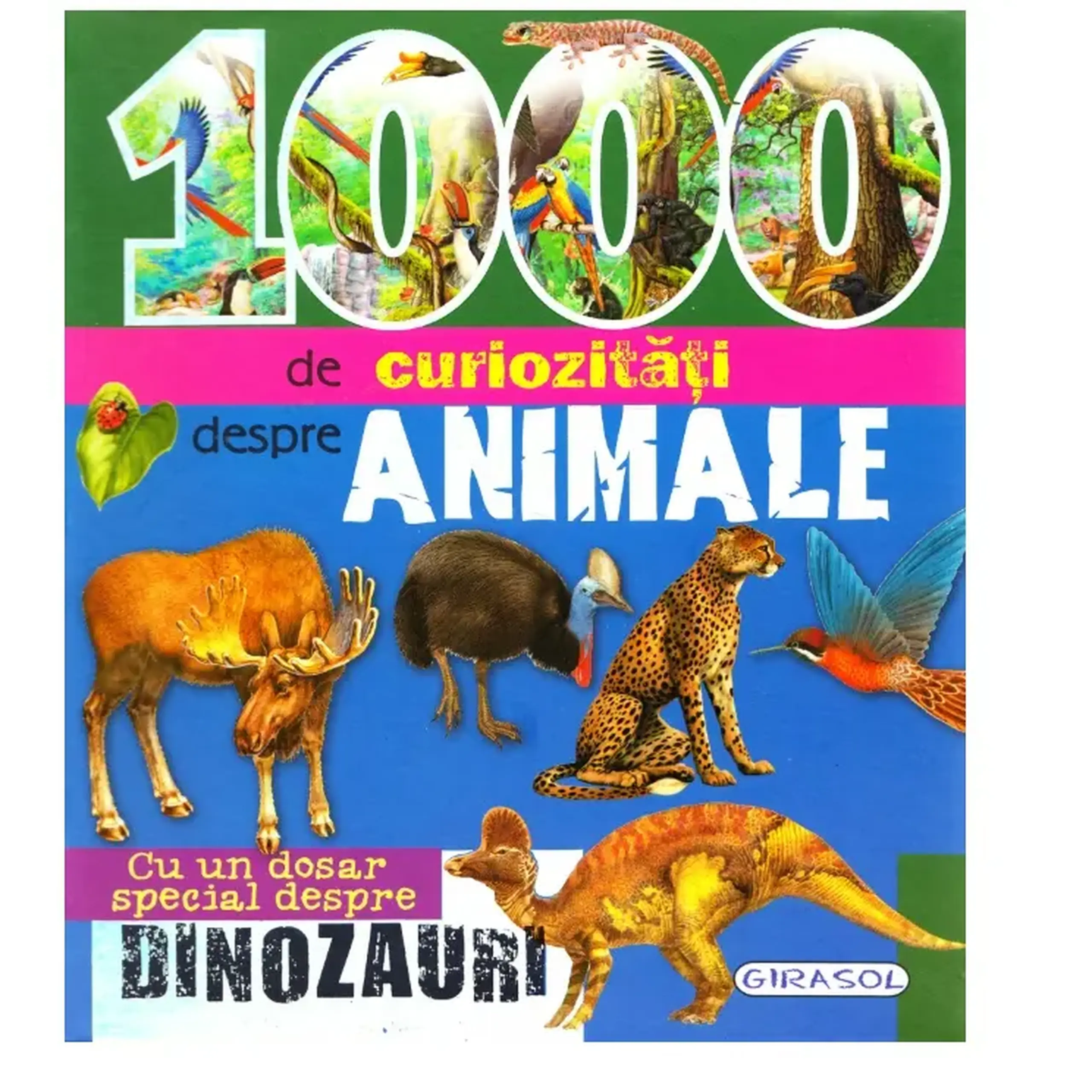 1000 curiozitati despre animale_Girasol