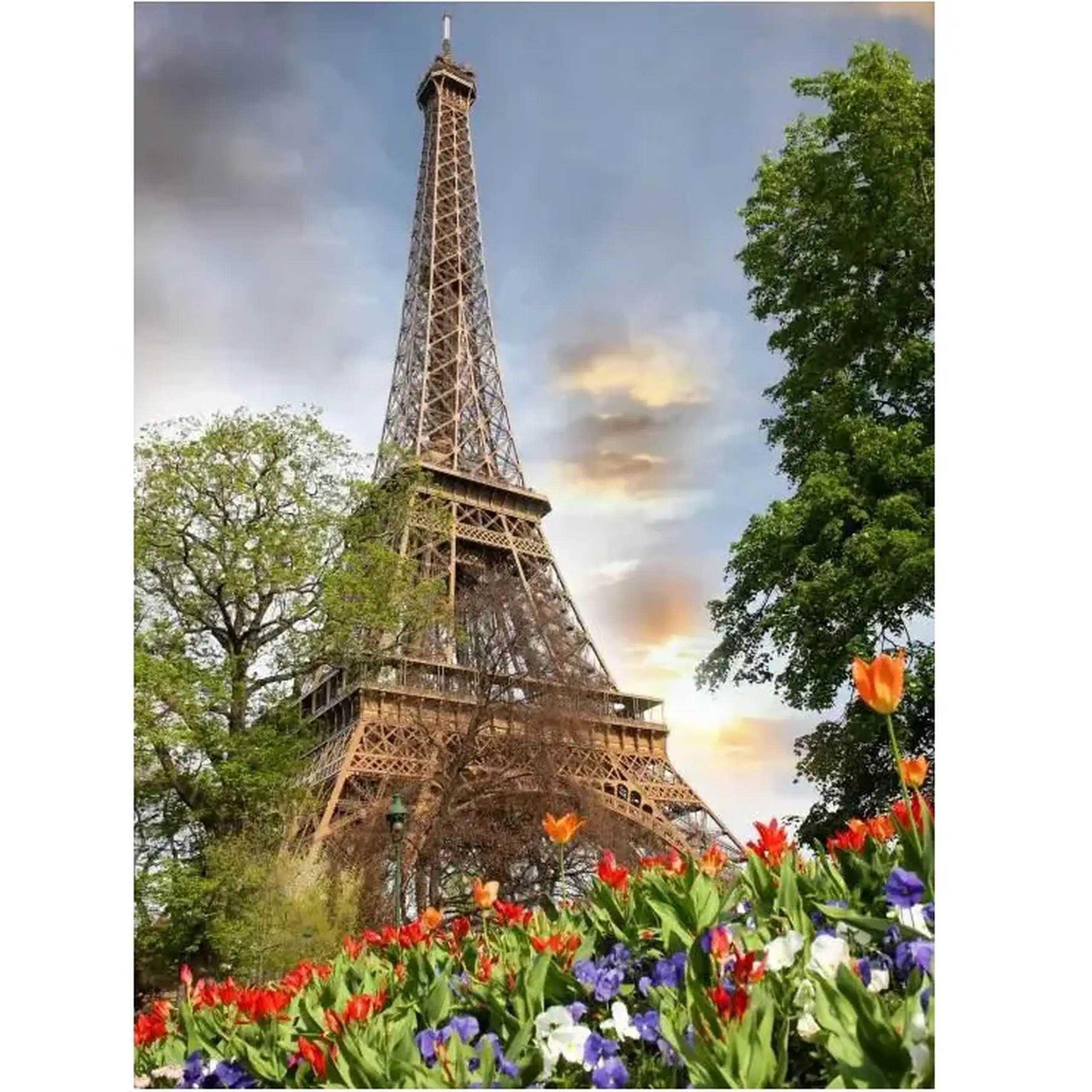 Set pictam pe numere Paris (40*50)