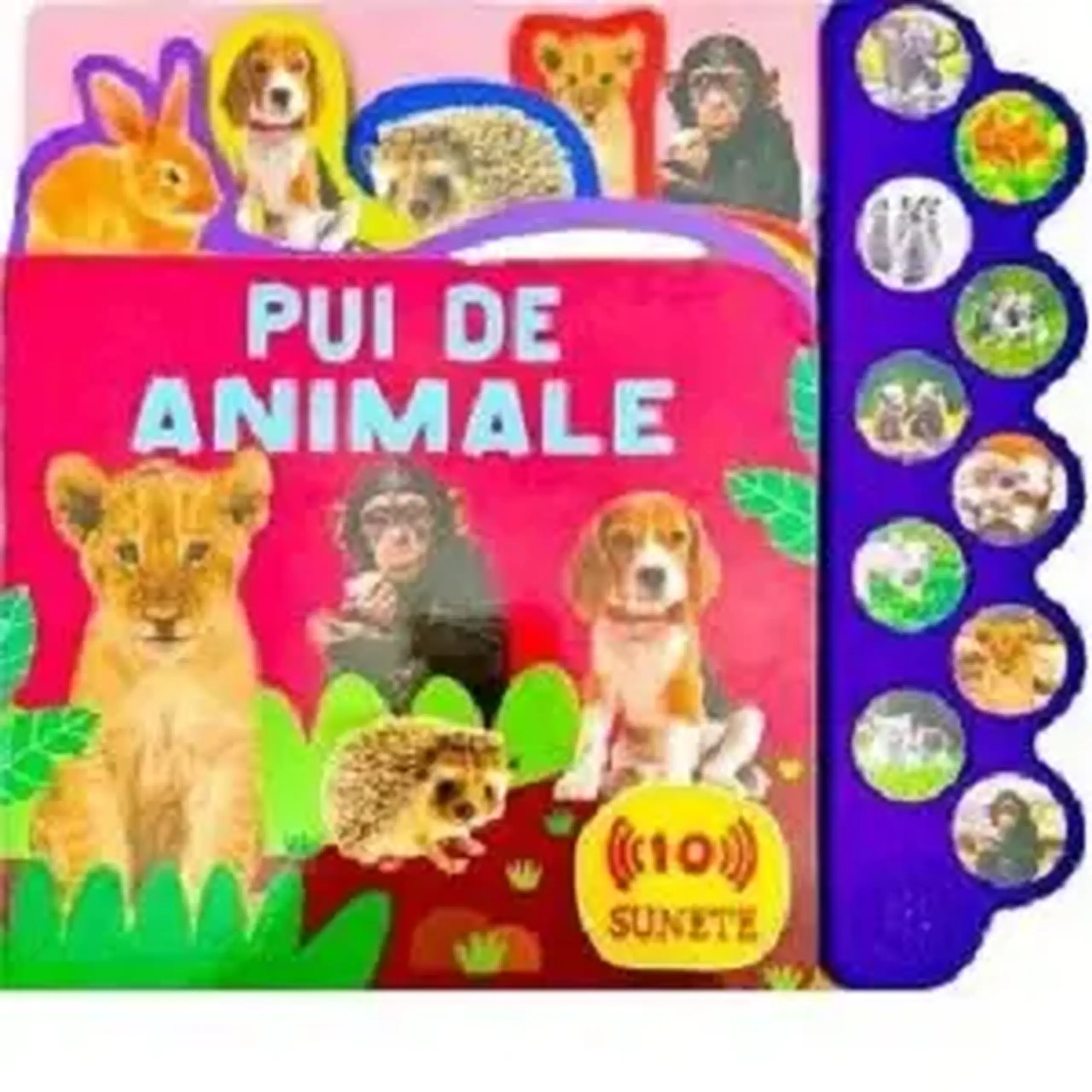 PUI DE ANIMALE-_FL