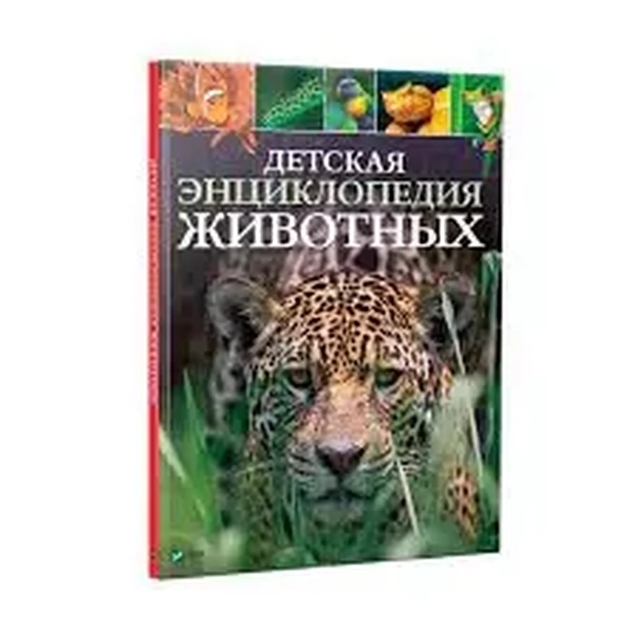 Детская энциклопедия Животных