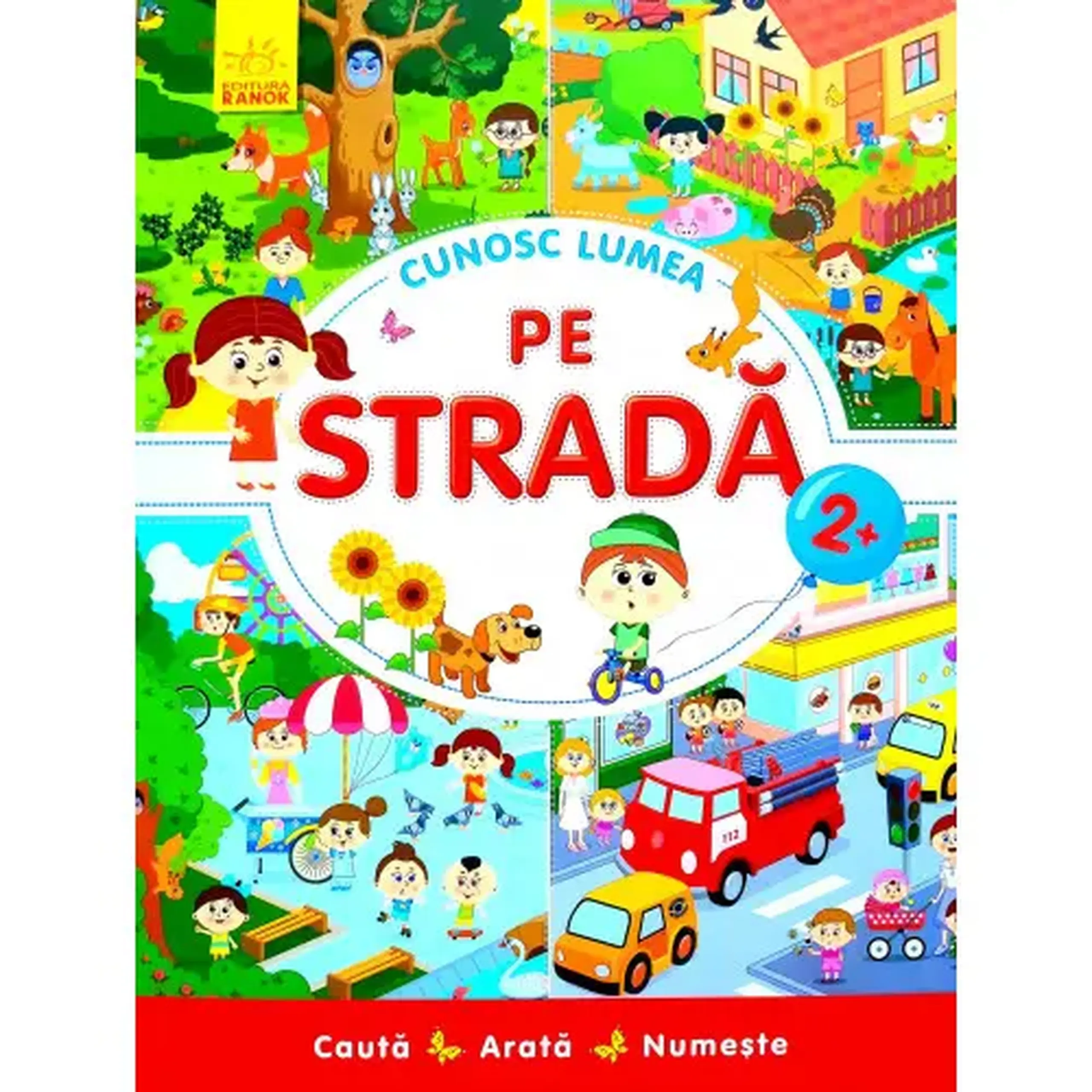 Cunosc lumea: PE STRADA - 47 545