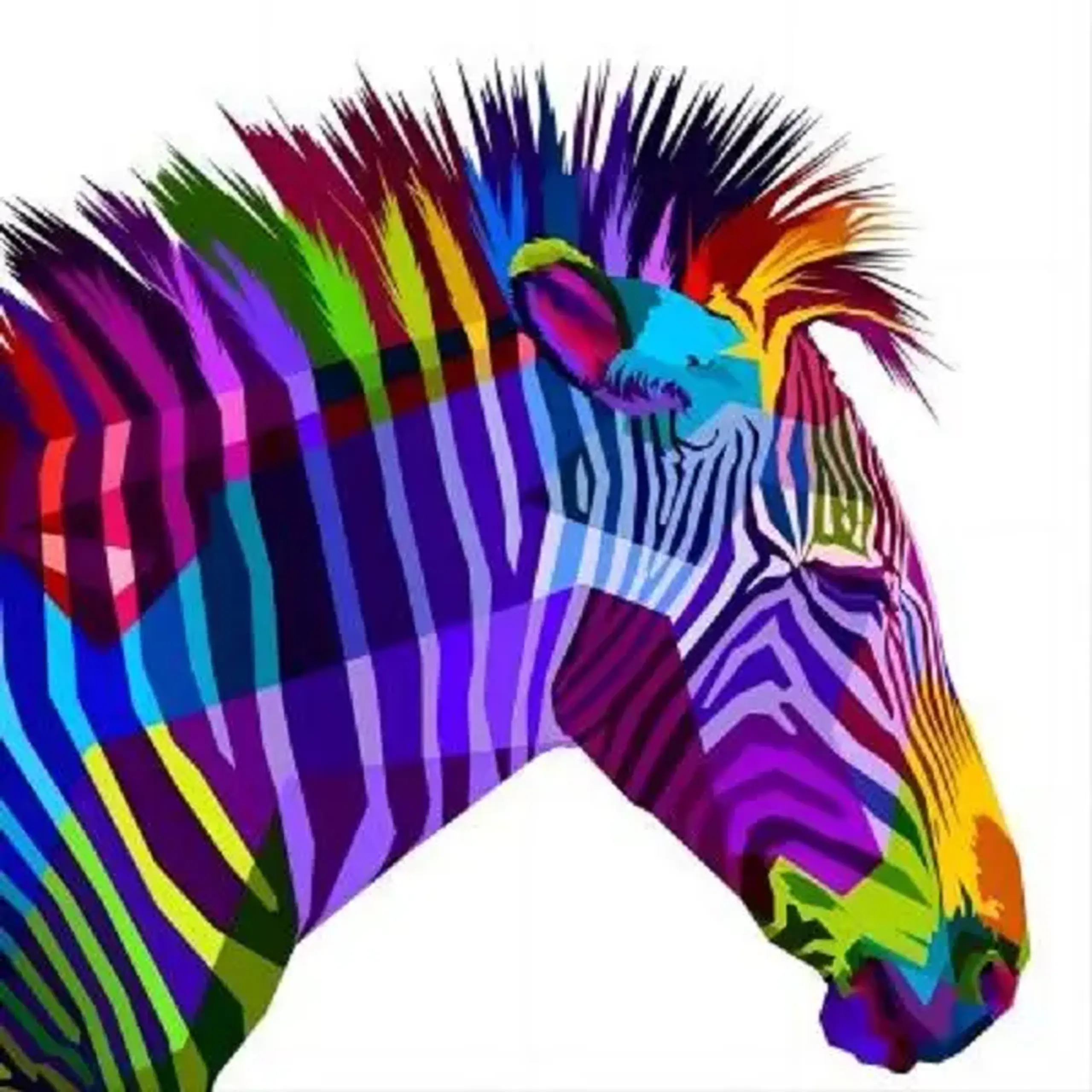 Set pictam pe numere Zebra (30*40)