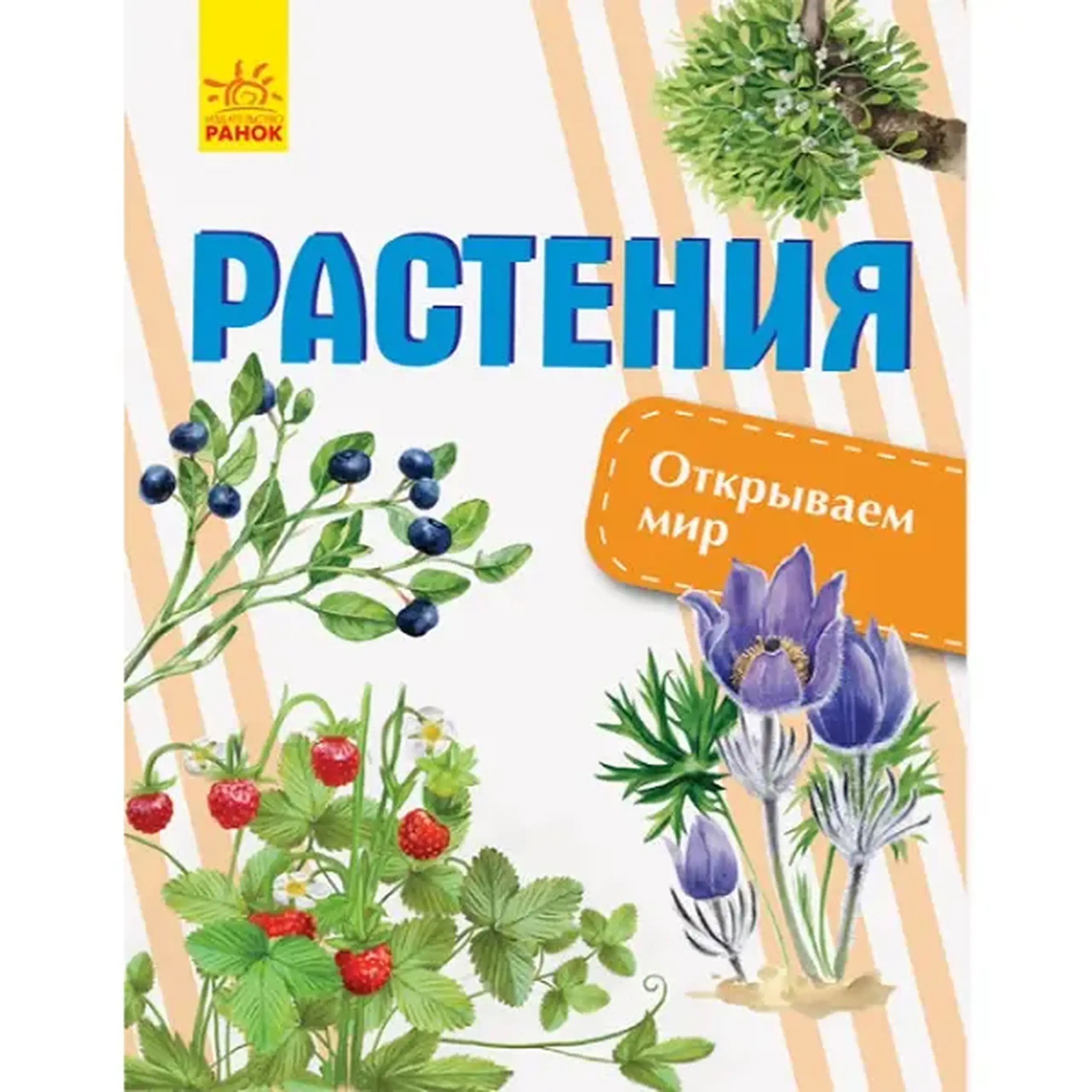 Descoperă lumea: Plante - 47 657