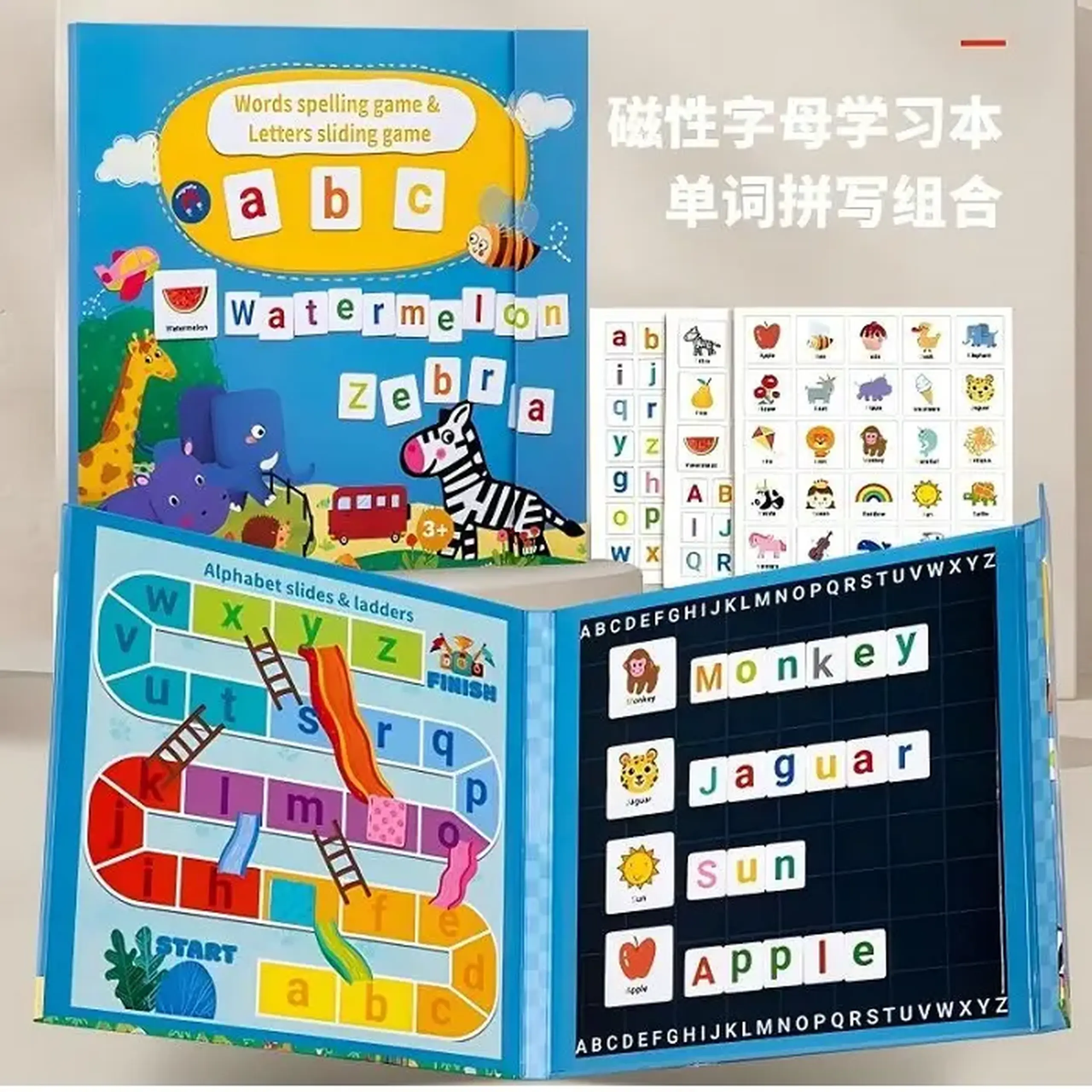 Carte educativa