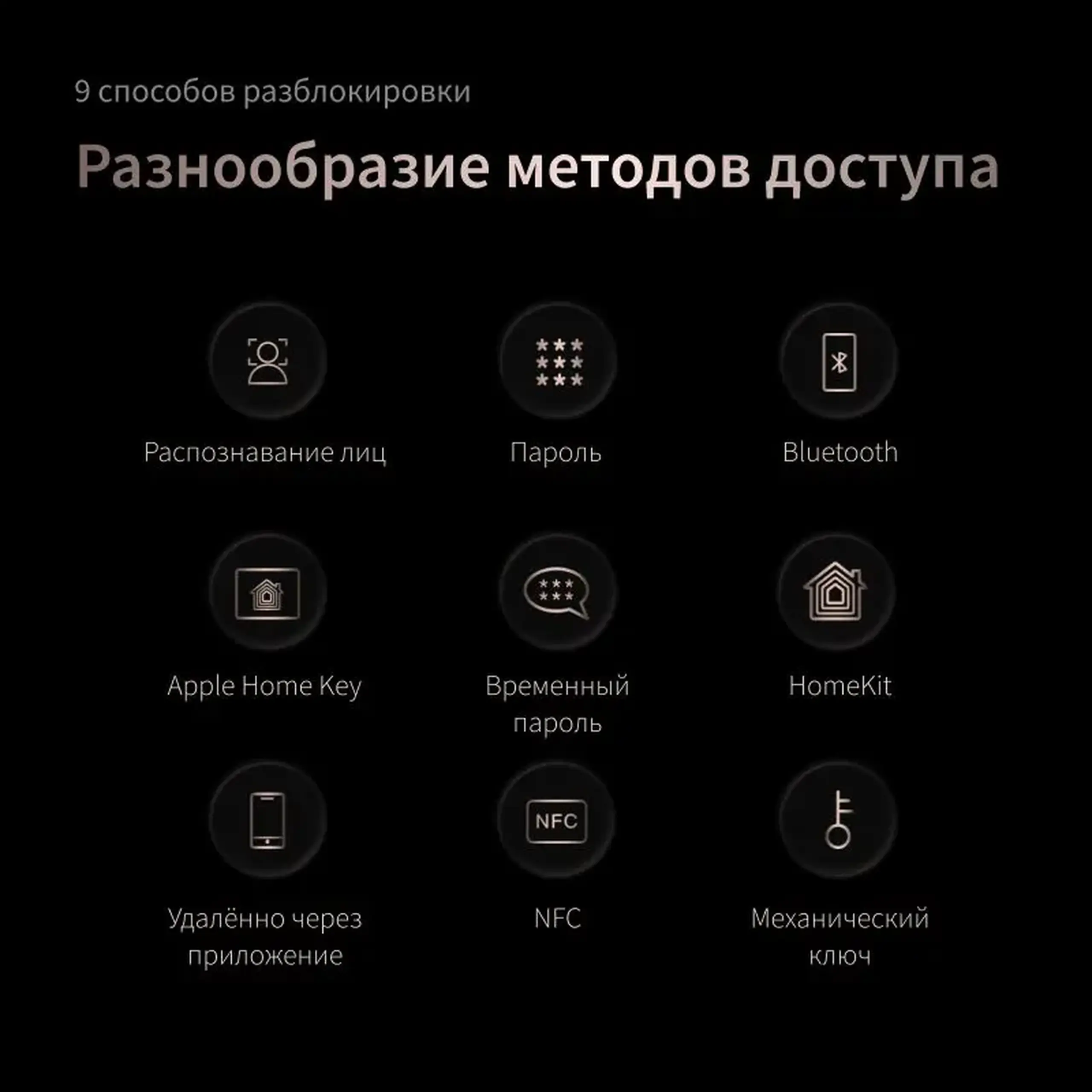 Încuietoare inteligentă AQARA Smart Lock D200i, Negru