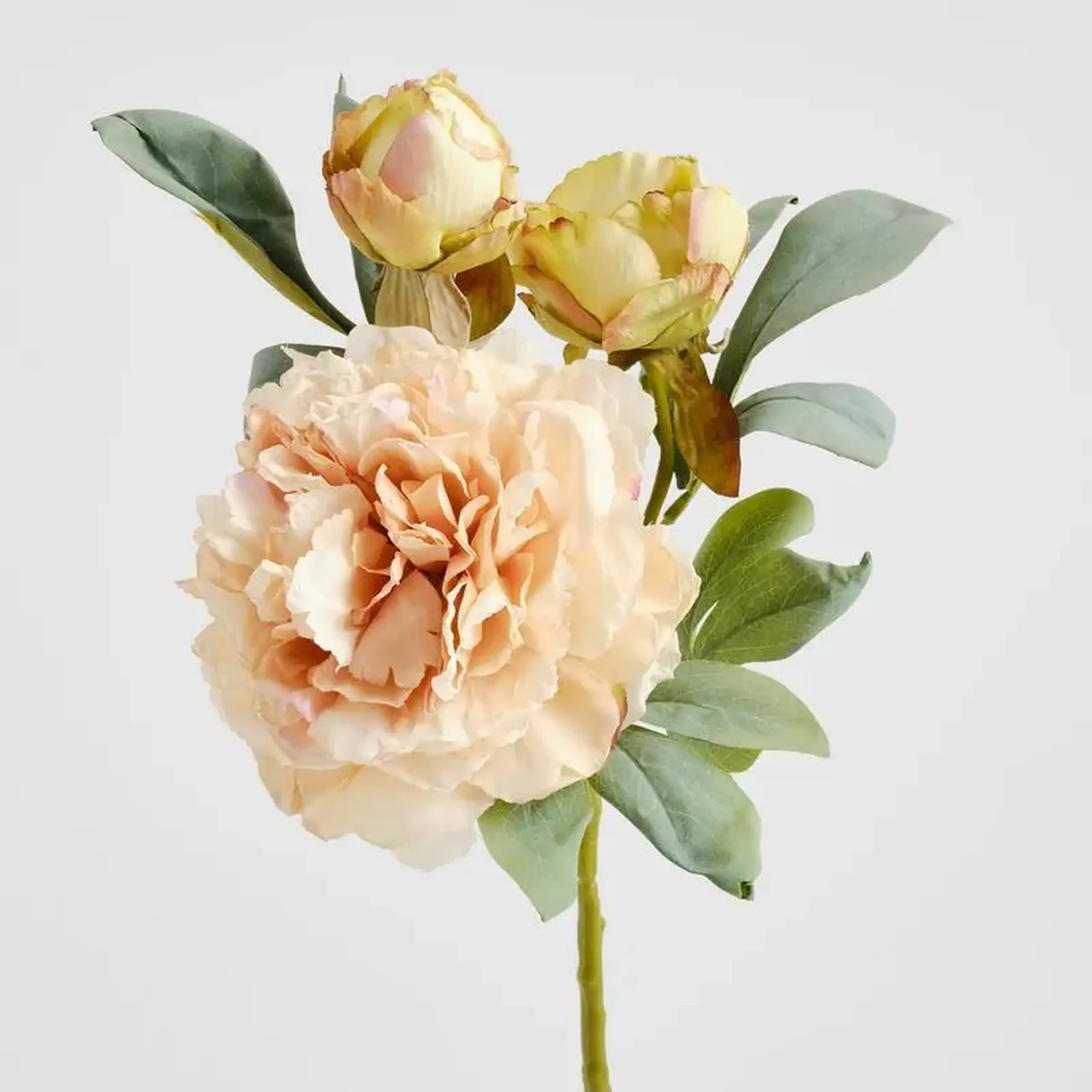 Buchet decorativ PEONESO