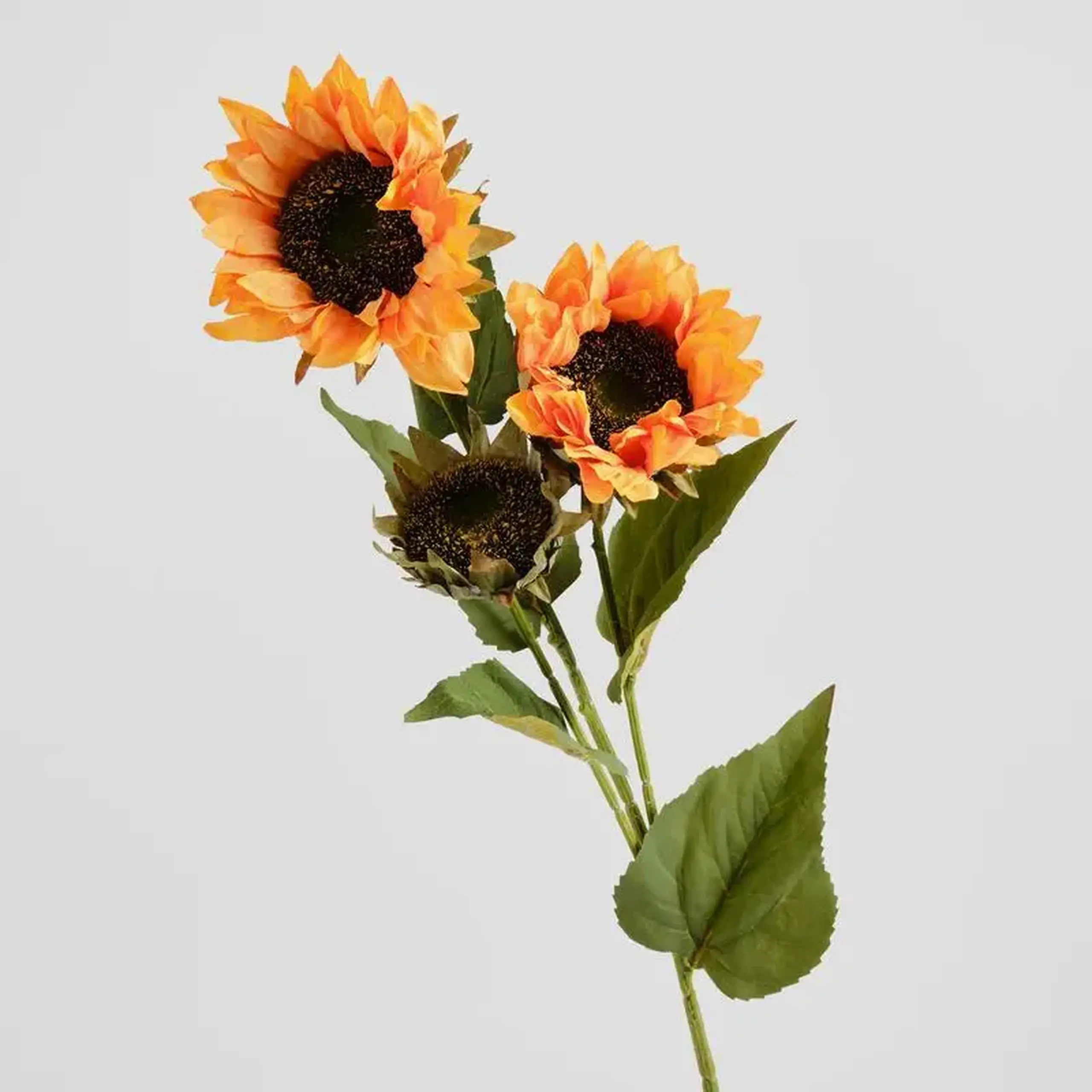 Buchet decorativ SUNFLOWERIS