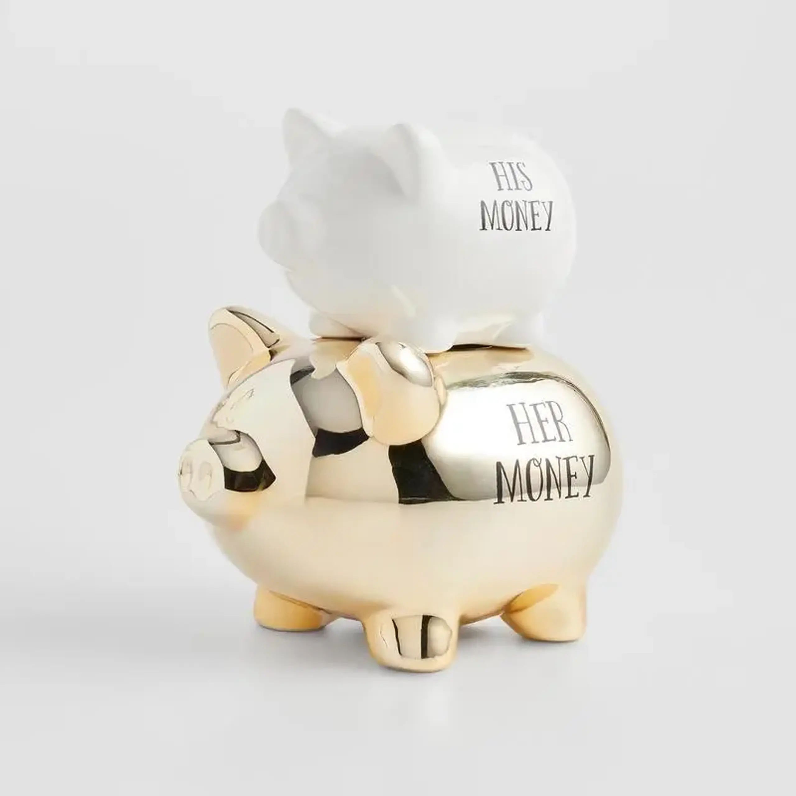 Pușculiță THEIR MONEY