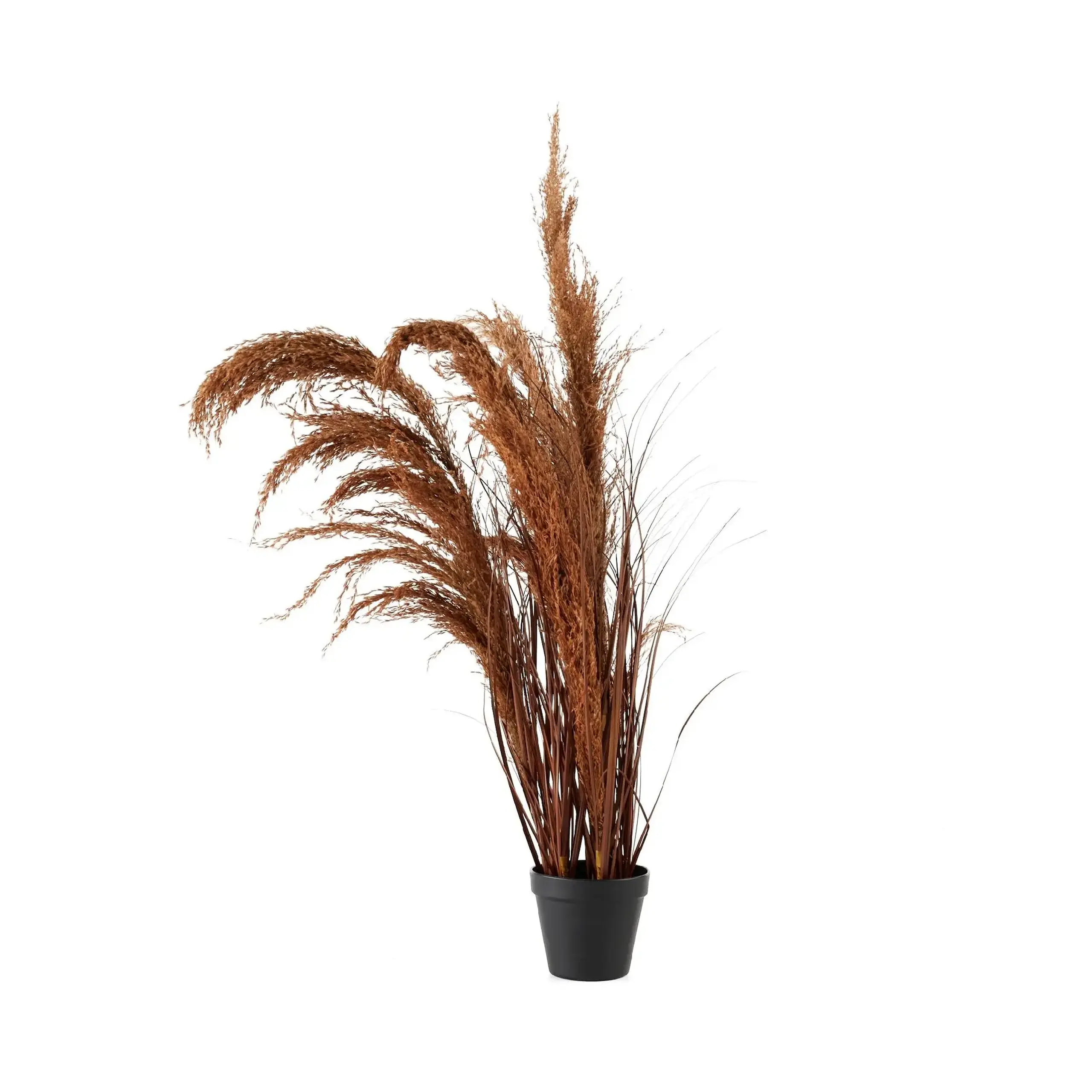 Buchet decorativ PUMPARA