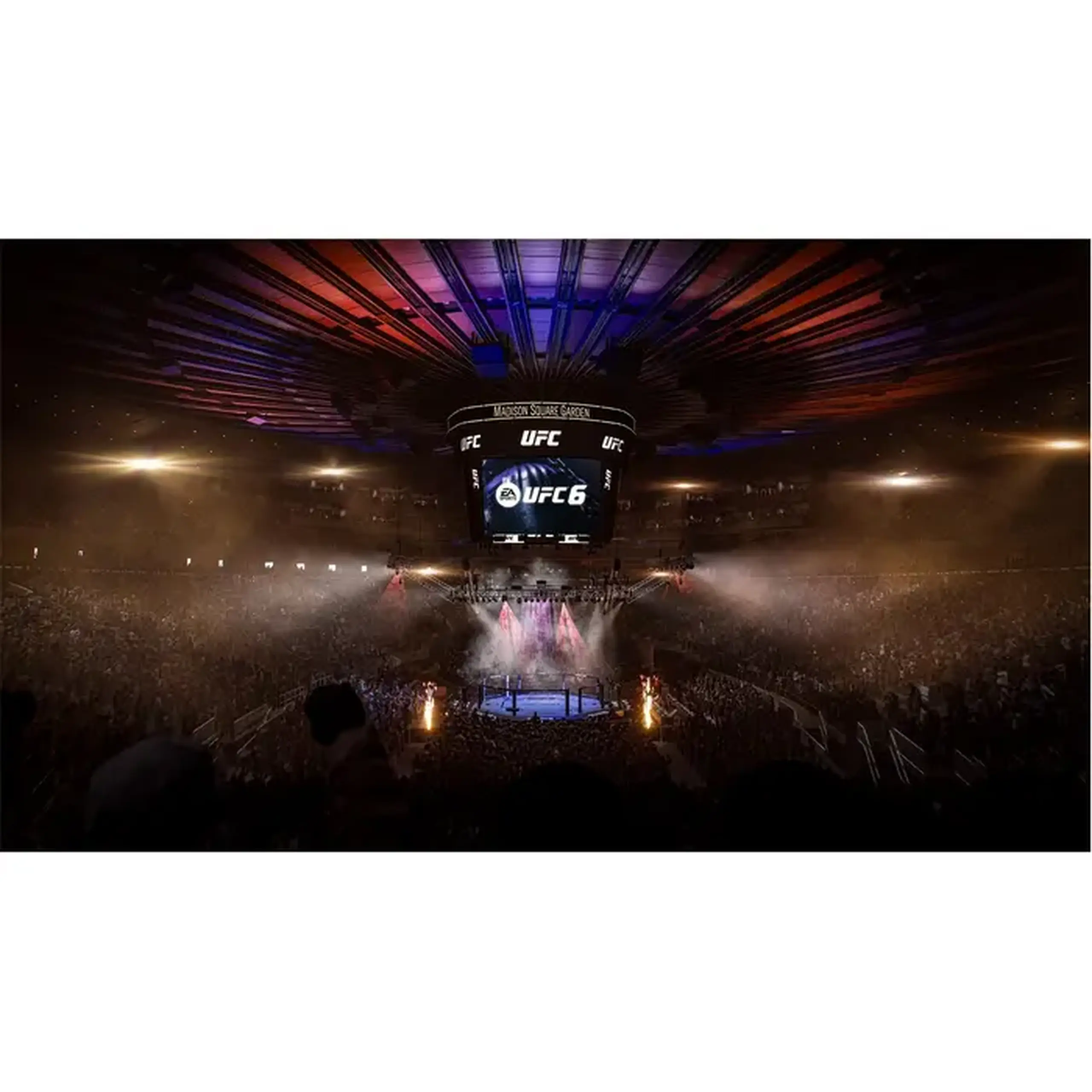 EA Vancouver UFC 6, Lupta, PlayStation 5, Disc