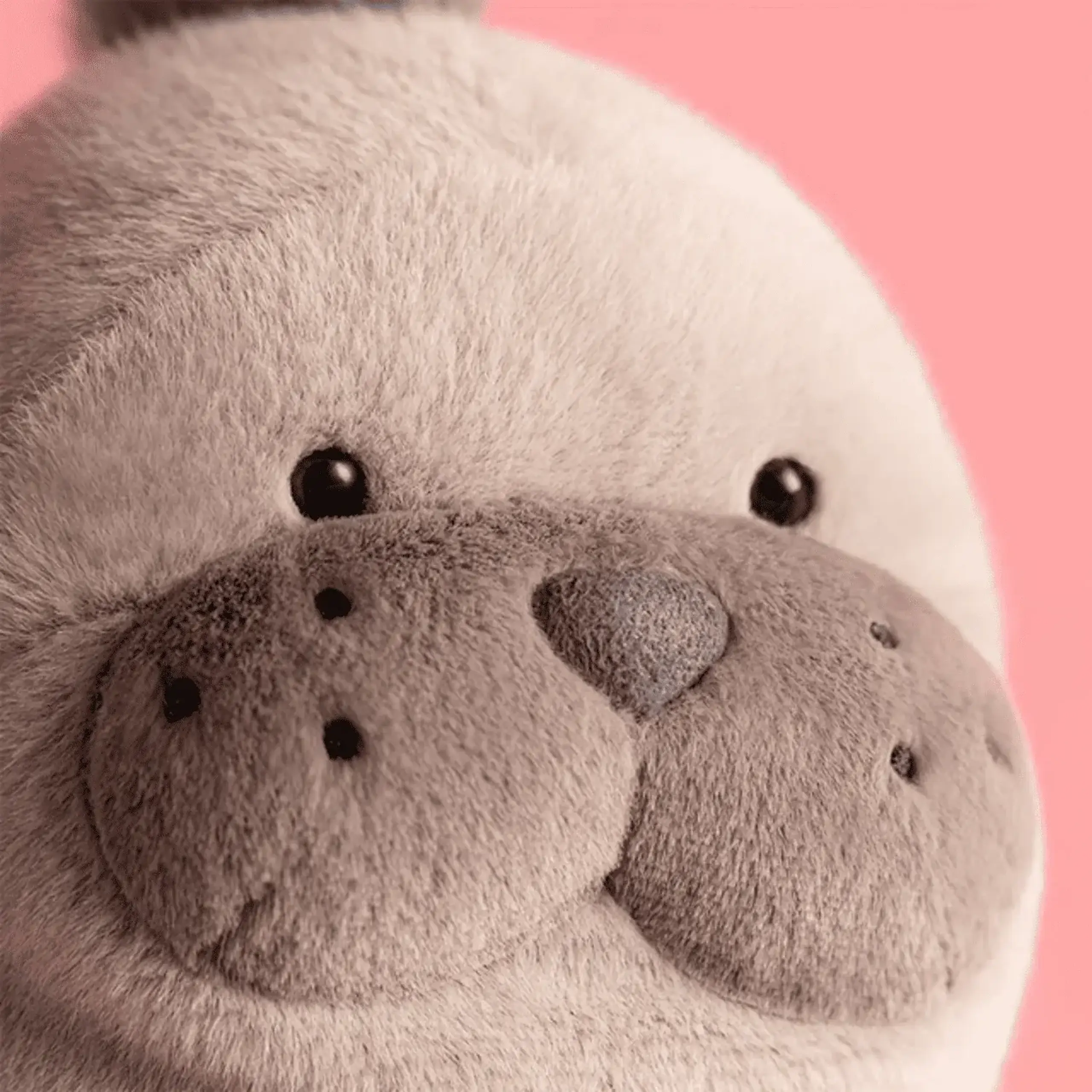 Leul de mare Roarwell din pluș — Jellycat