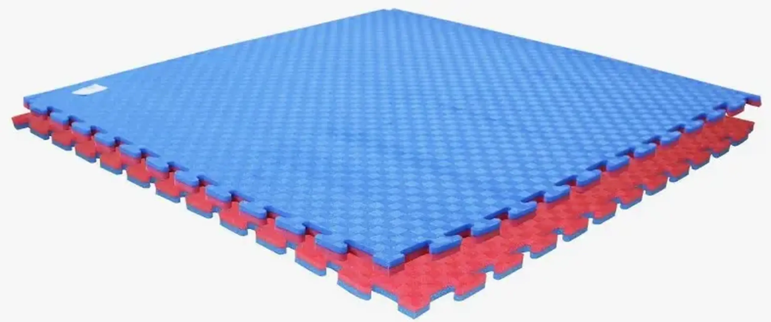 Mat sportiv 4Play Two-colour Blue-Red 100x100x2.5cm