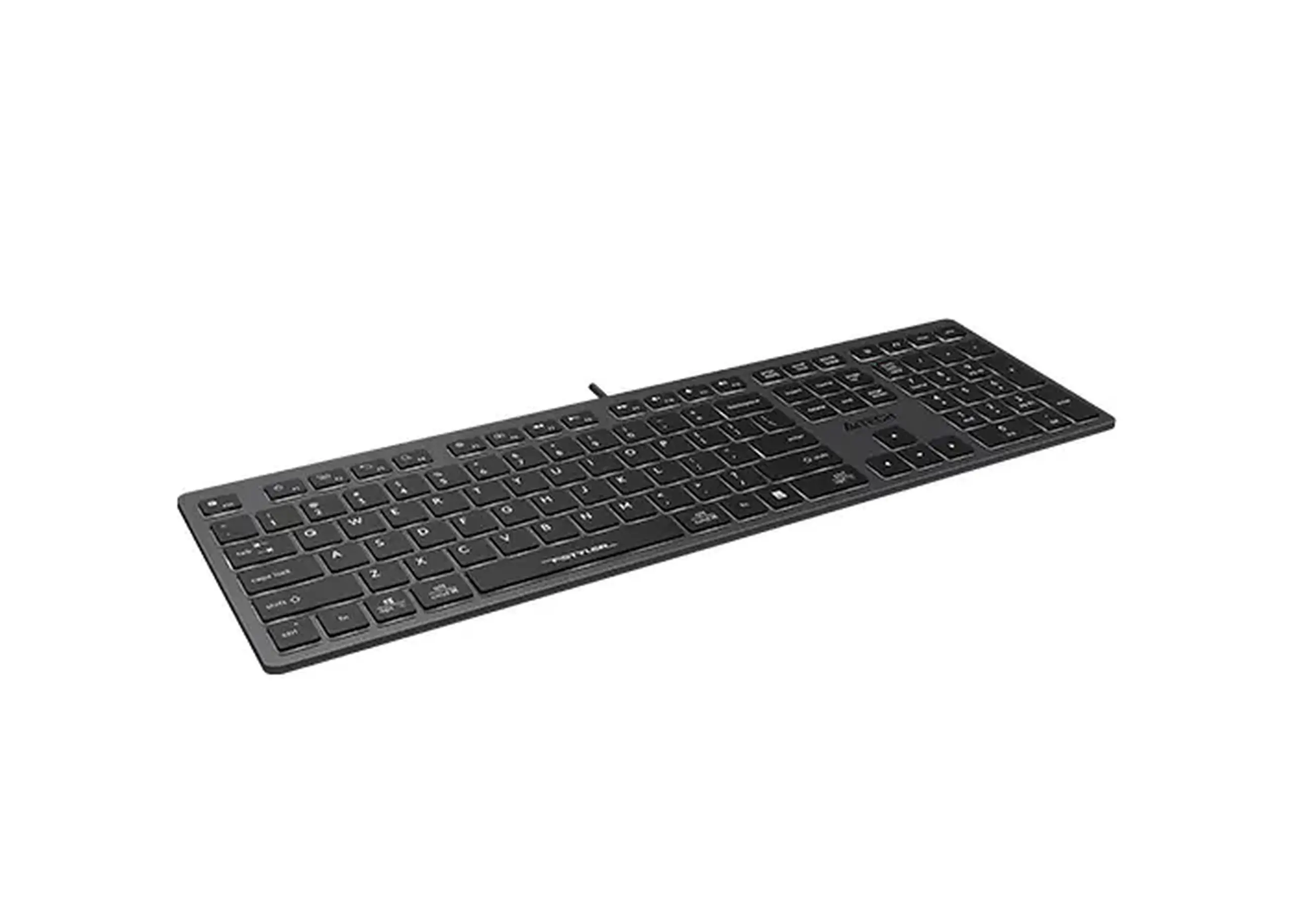 Tastatură A4Tech FX60, Cu fir, Gri