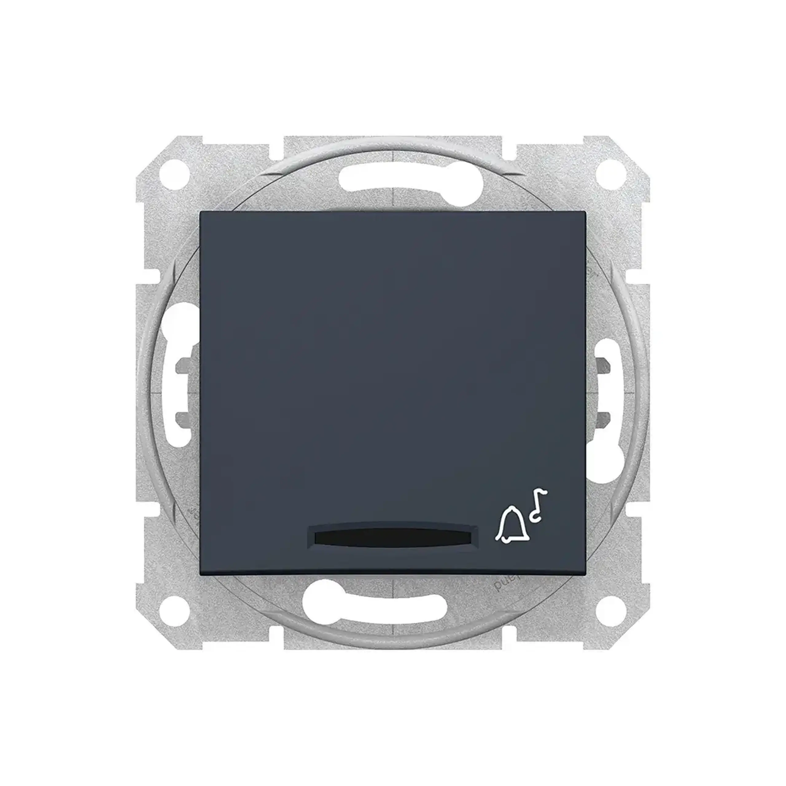 Întrerupător cu revenire și indicator luminos SEDNA 10 A 250 V grafit Schneider-Electric - Grup de produse Butoane pentru sonerie