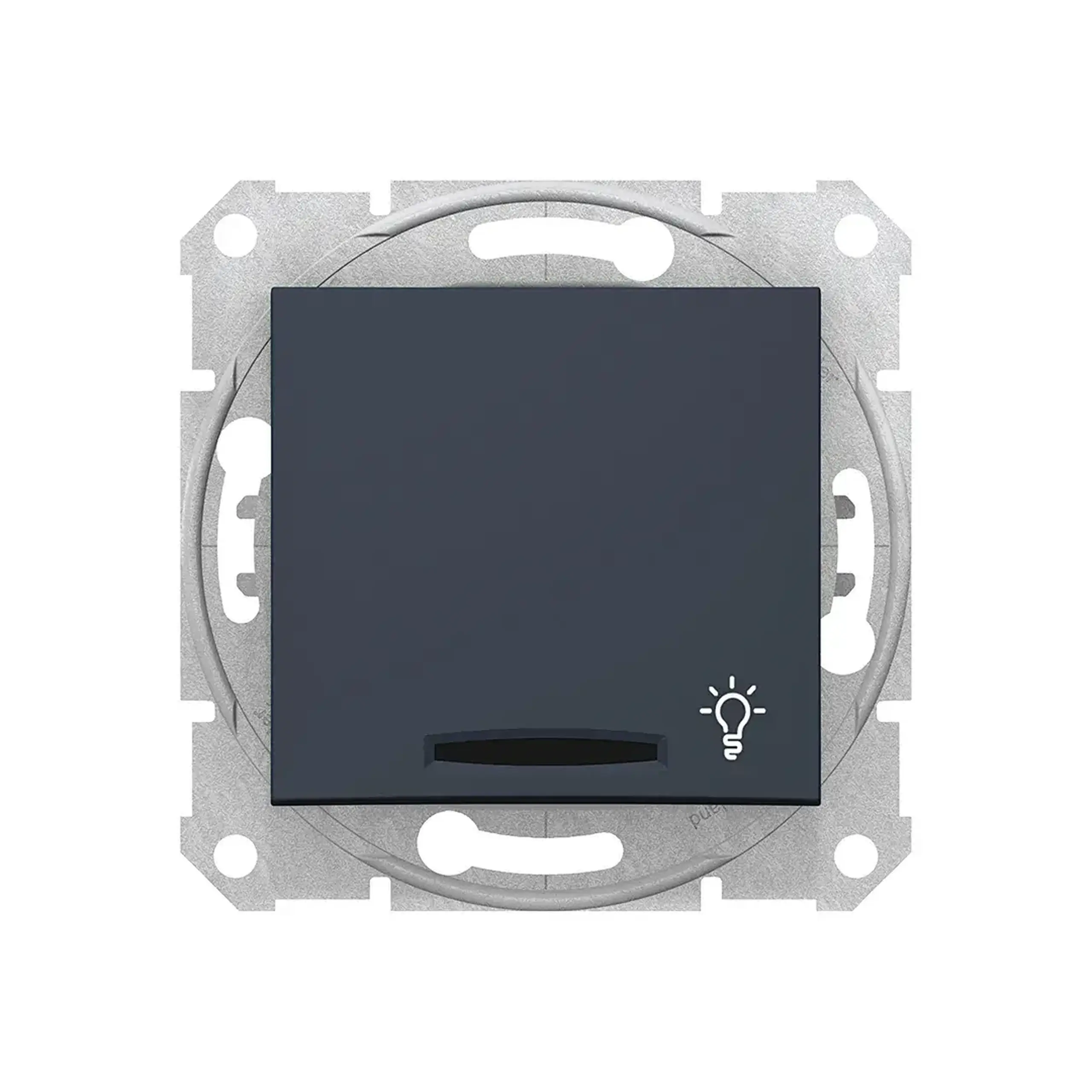 Întrerupător cu revenire și indicator luminos SEDNA 10 A 250 V grafit Schneider-Electric - Grup de produse Întrerupătoare