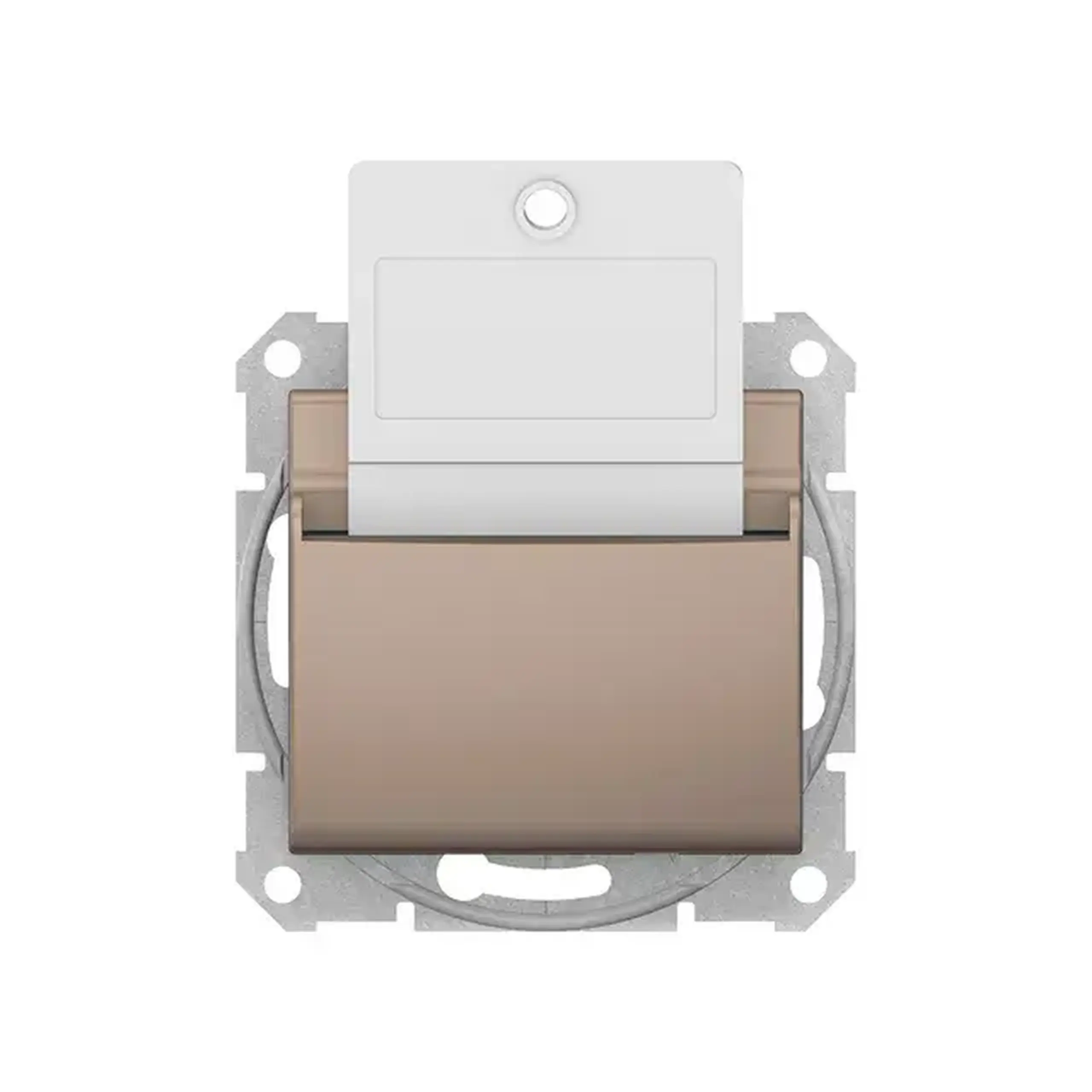 Întrerupător cu card SEDNA 10 A 250 V titan Schneider-Electric