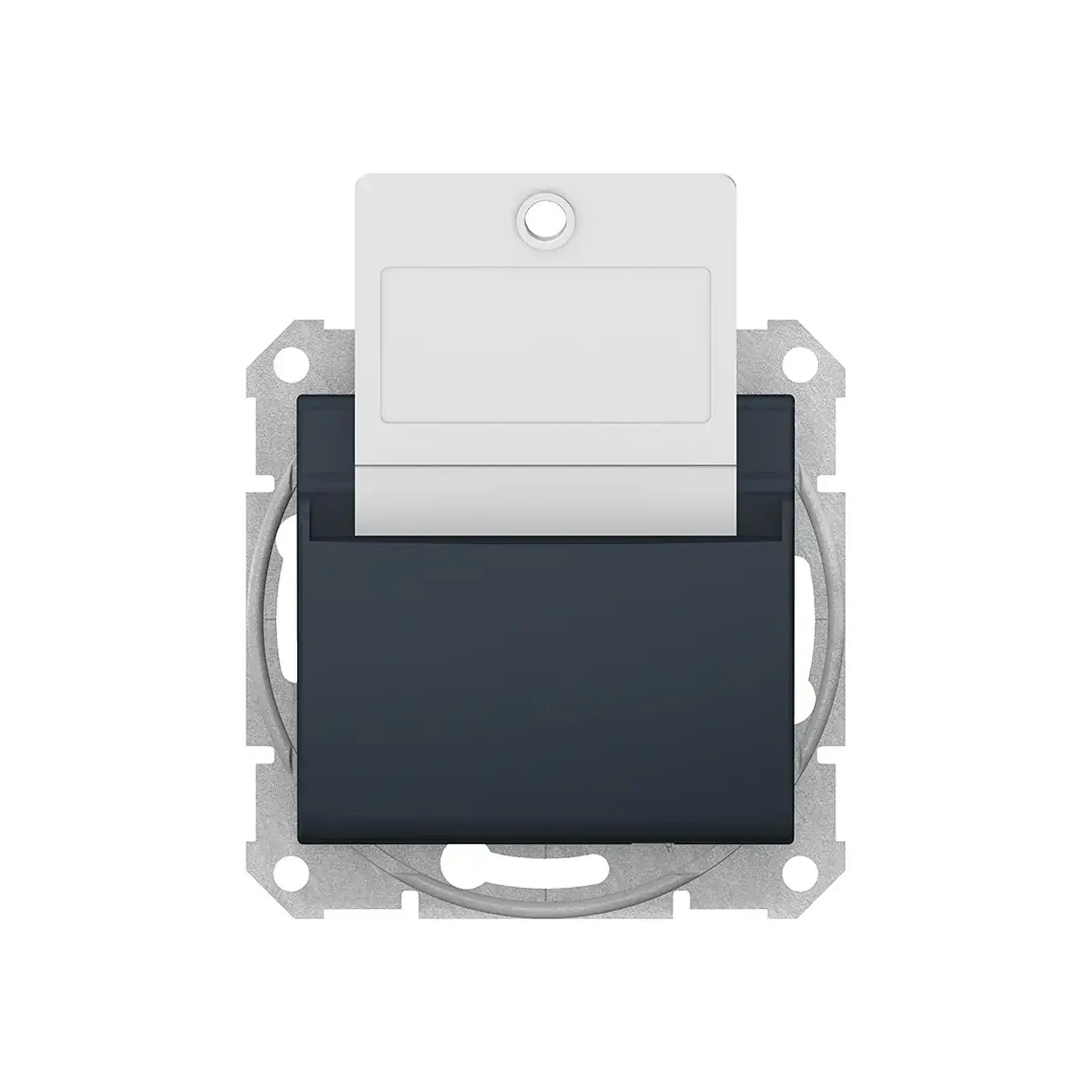 Întrerupător cu card SEDNA SEDNA 10 A 250 V grafit Schneider-Electric