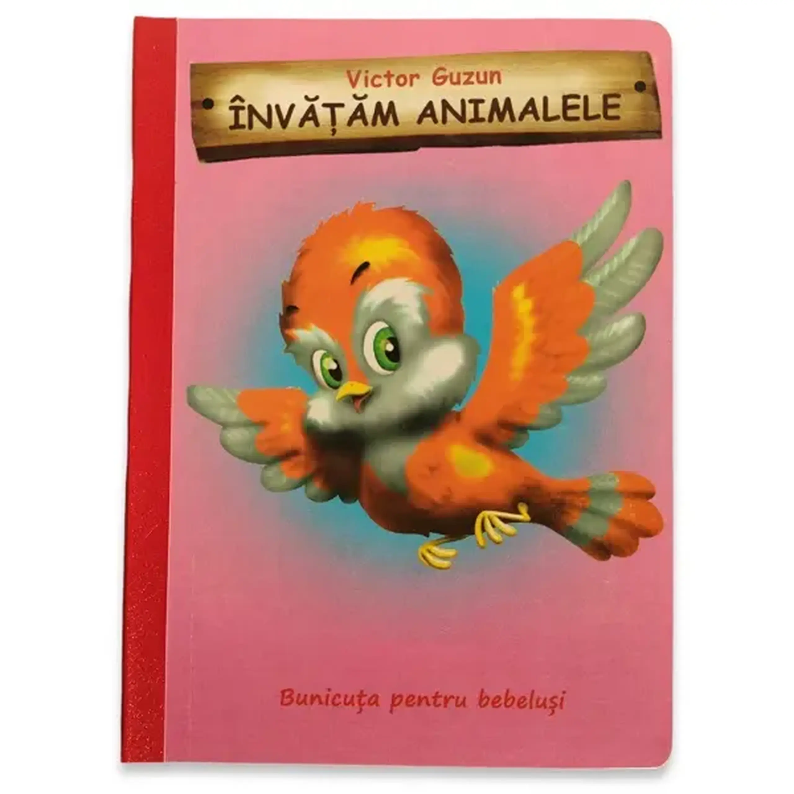 Camera copilului: ÎNVĂȚĂM ANIMALE (păsări) - 51 003