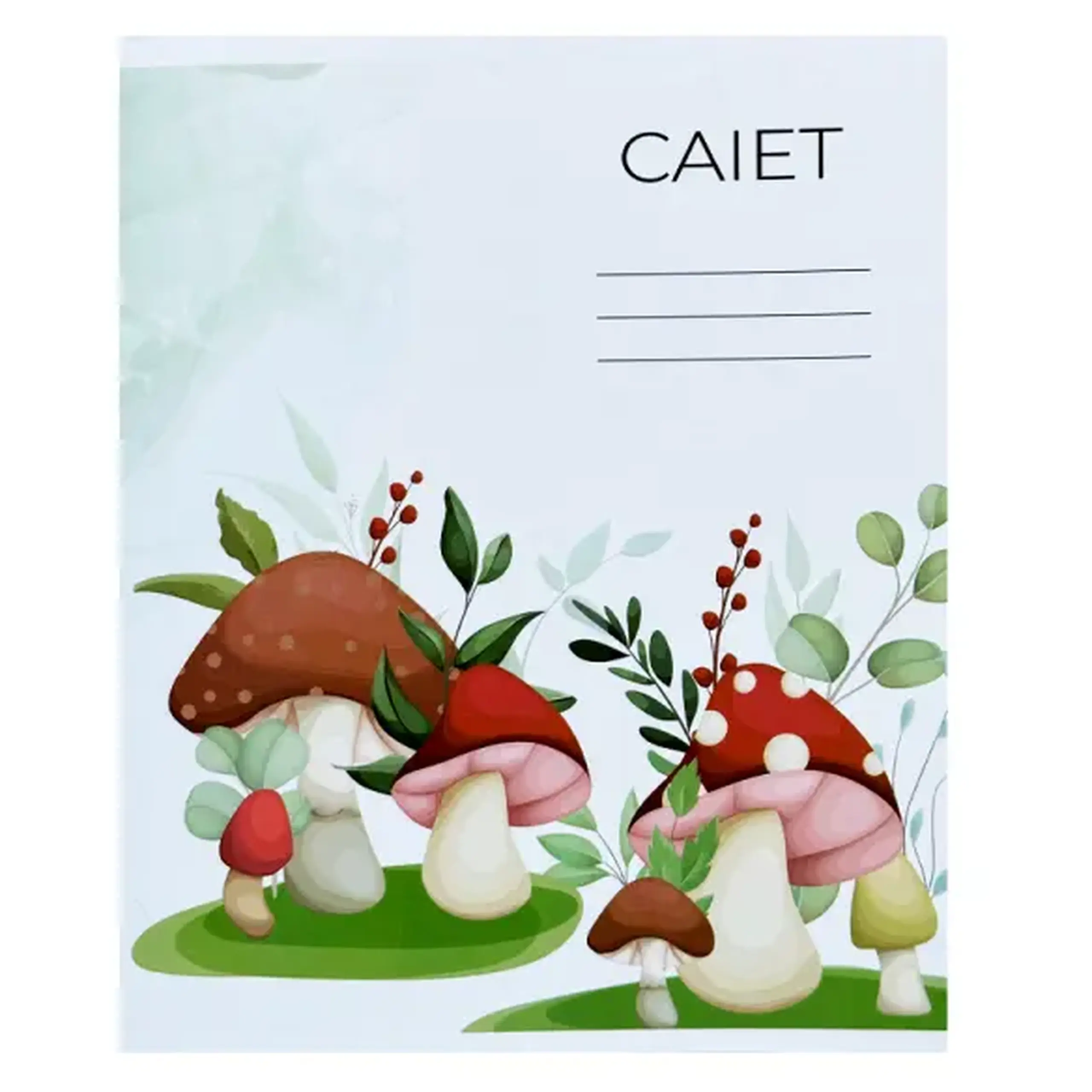 Caiet 12foi linie ingusta