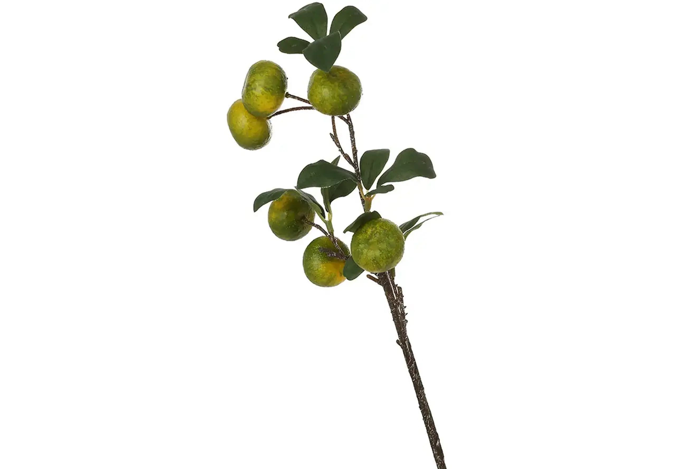 Crenguță de Mandarine verzi, 53cm