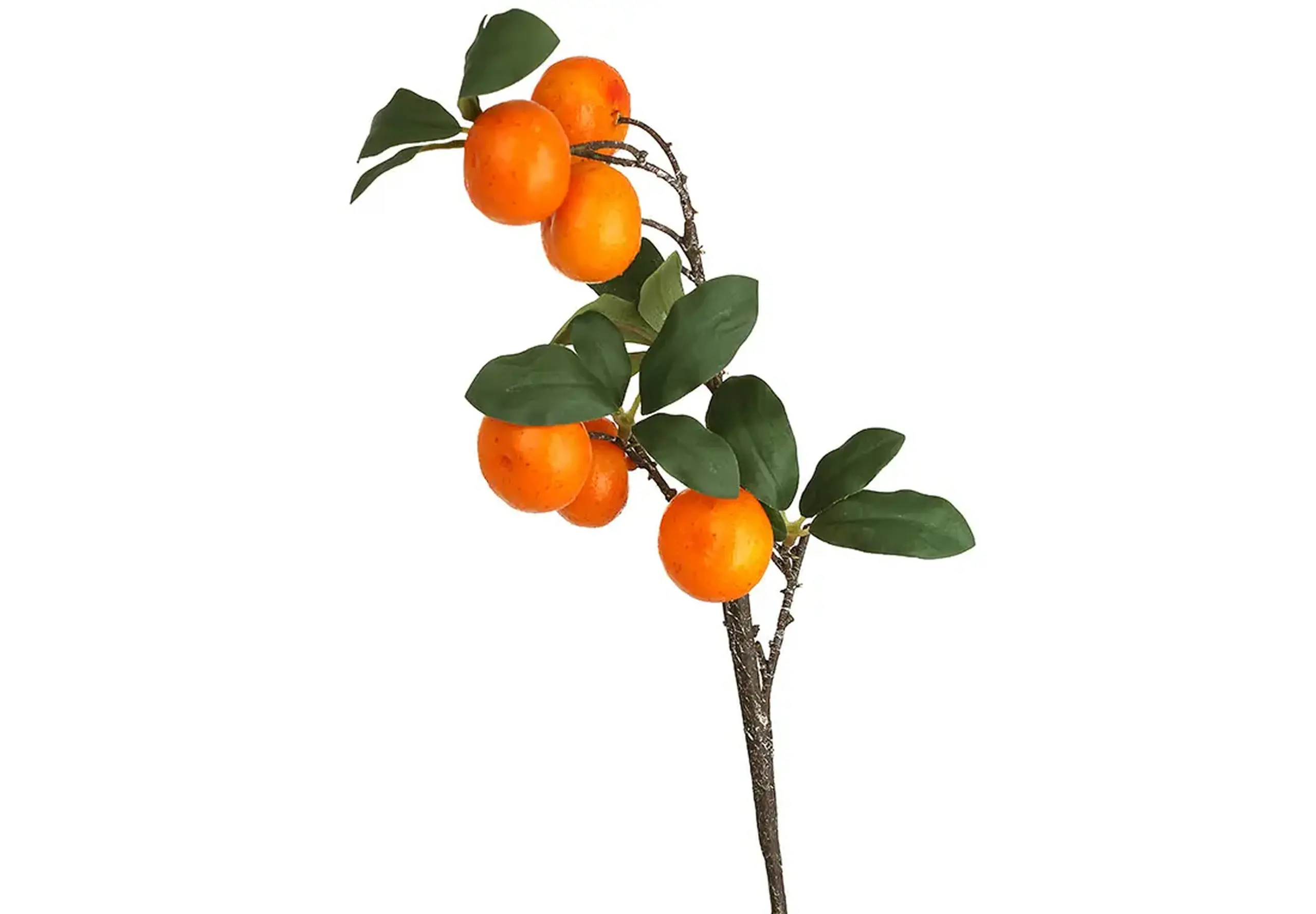 Crenguță de Mandarine, 53cm