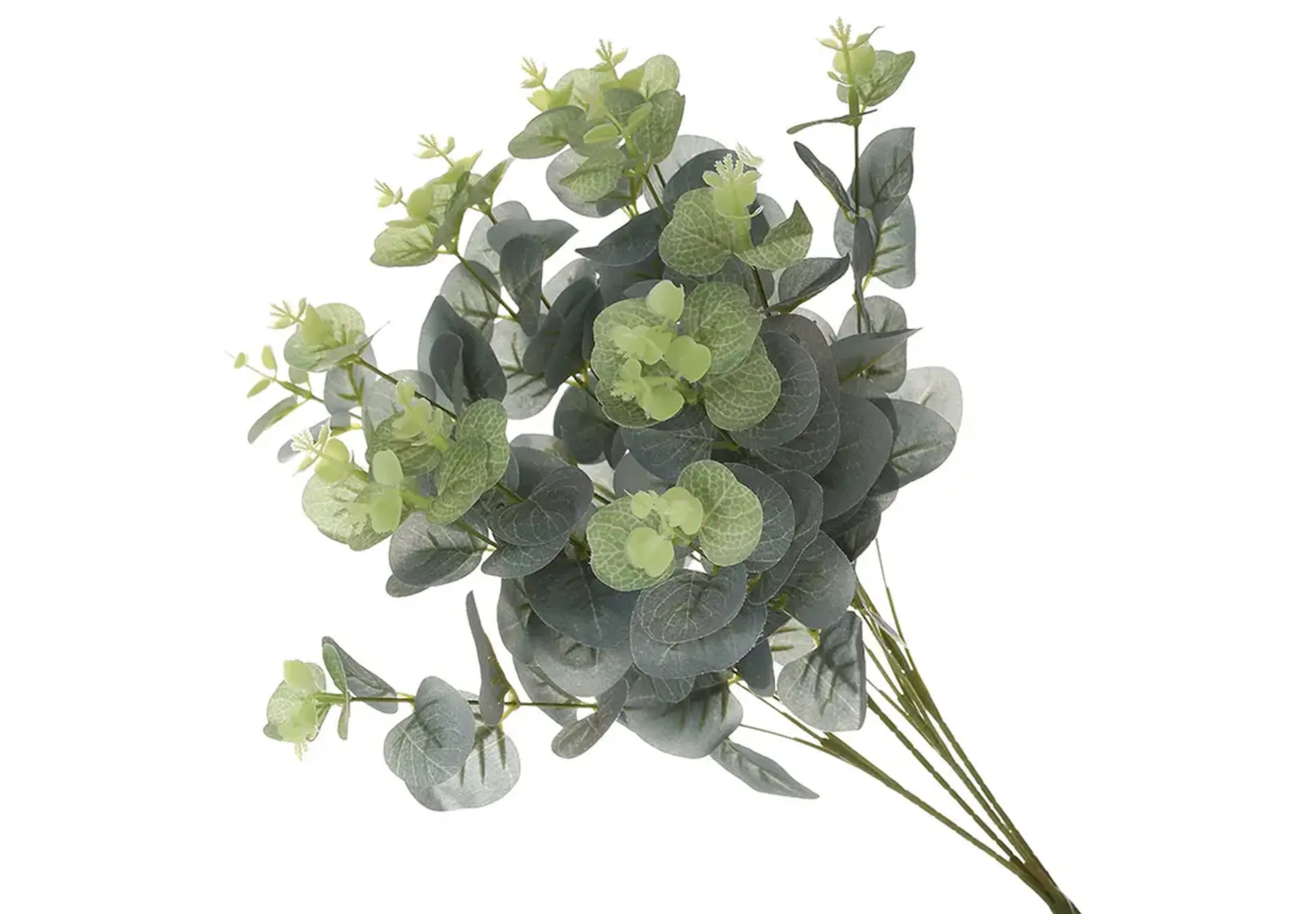 Buchet de eucalipt, 47cm