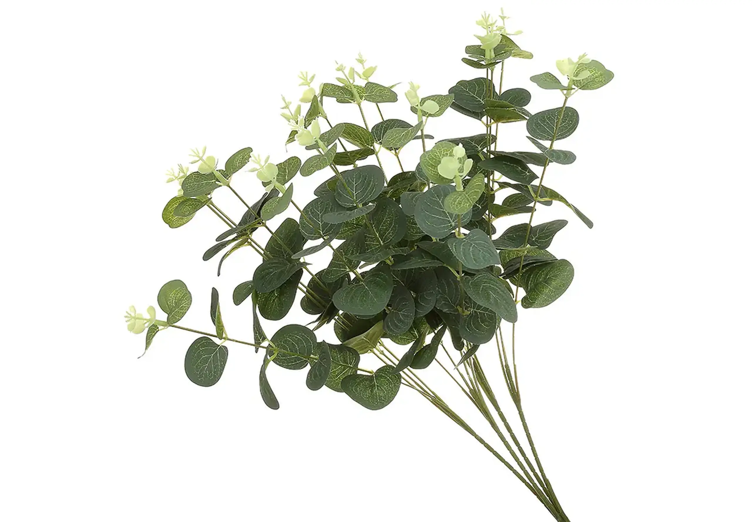 Buchet de eucalipt, 47cm