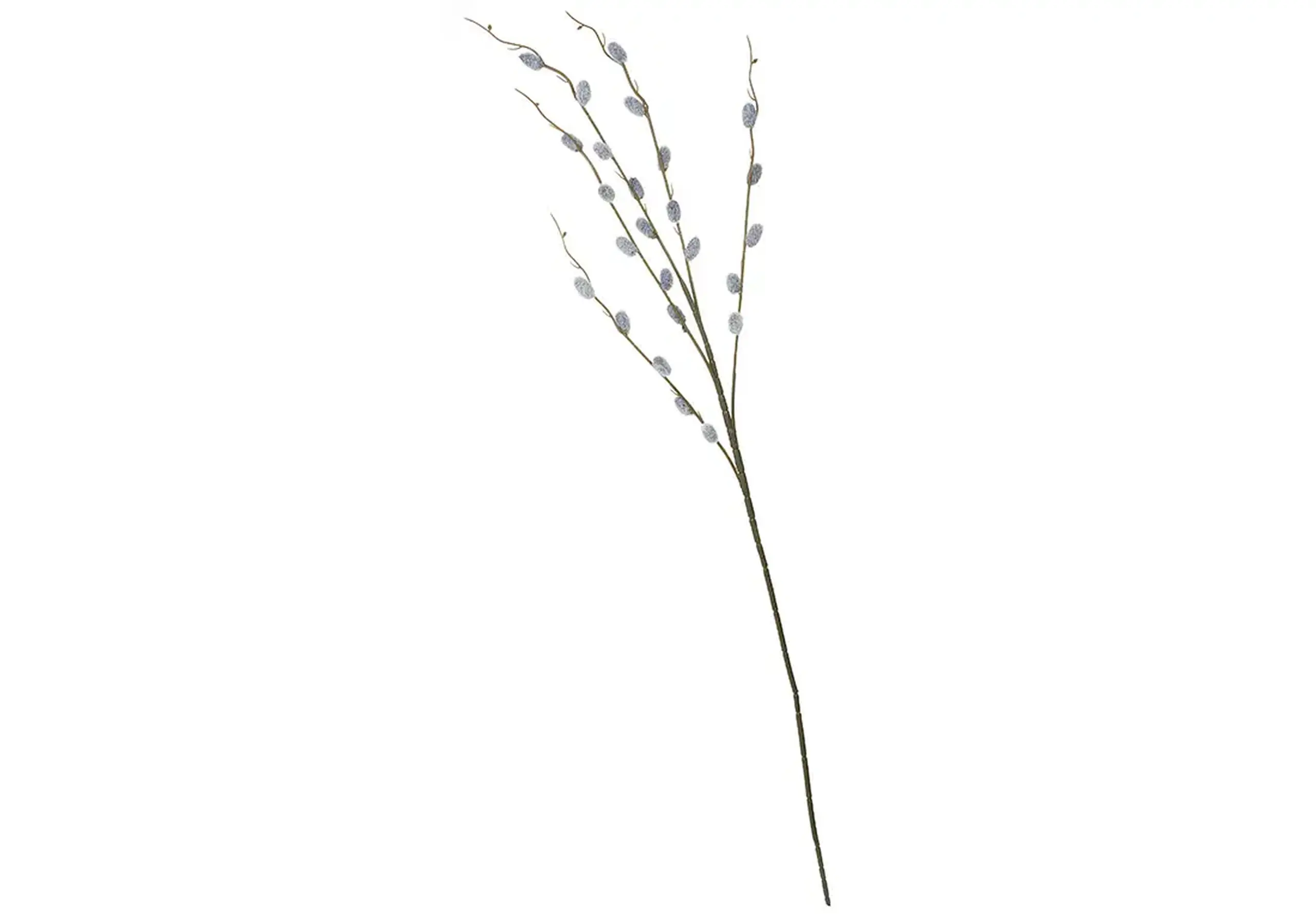 Salcie pufoasă Н85cm