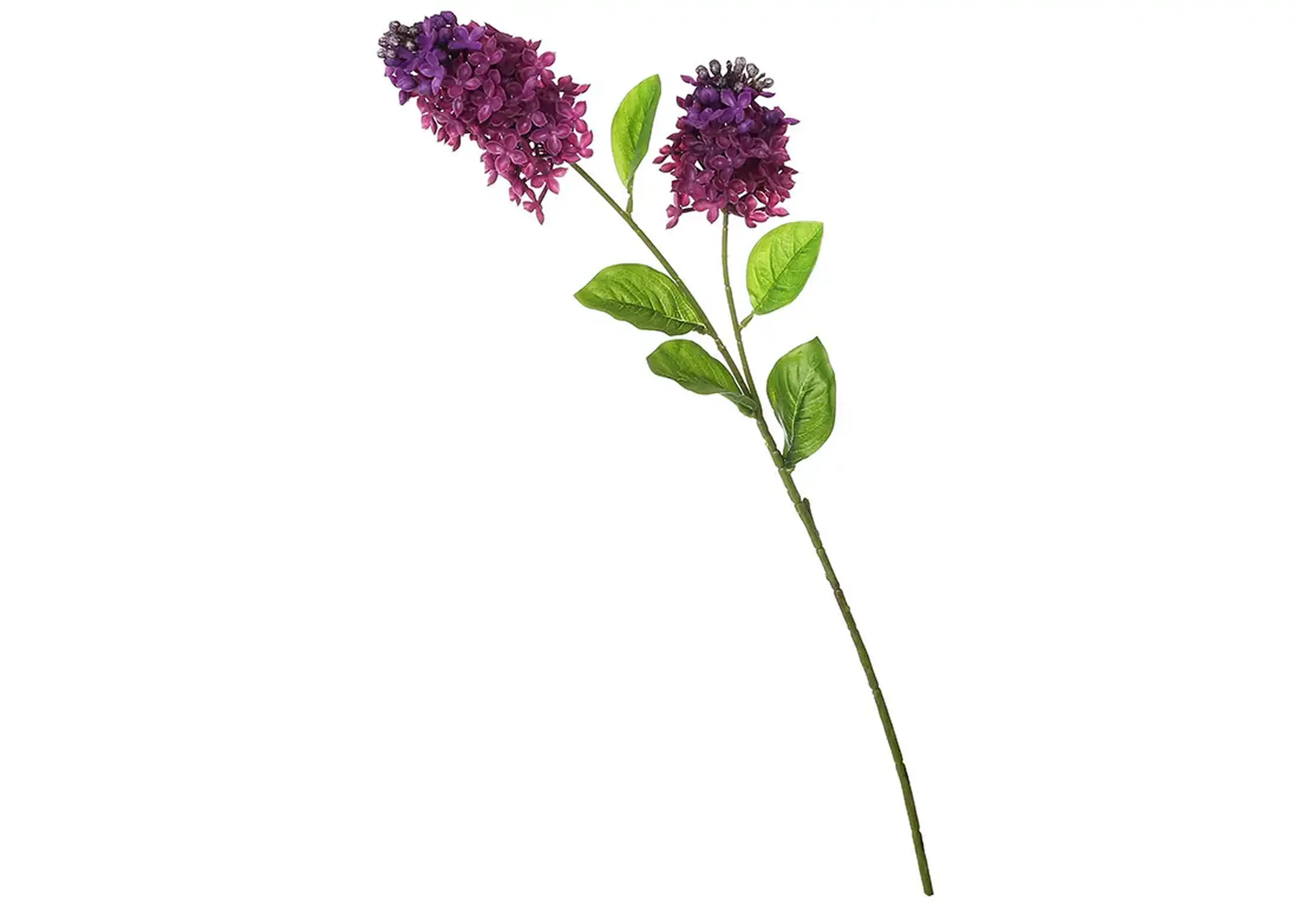 Creangă de Liliac, 70cm