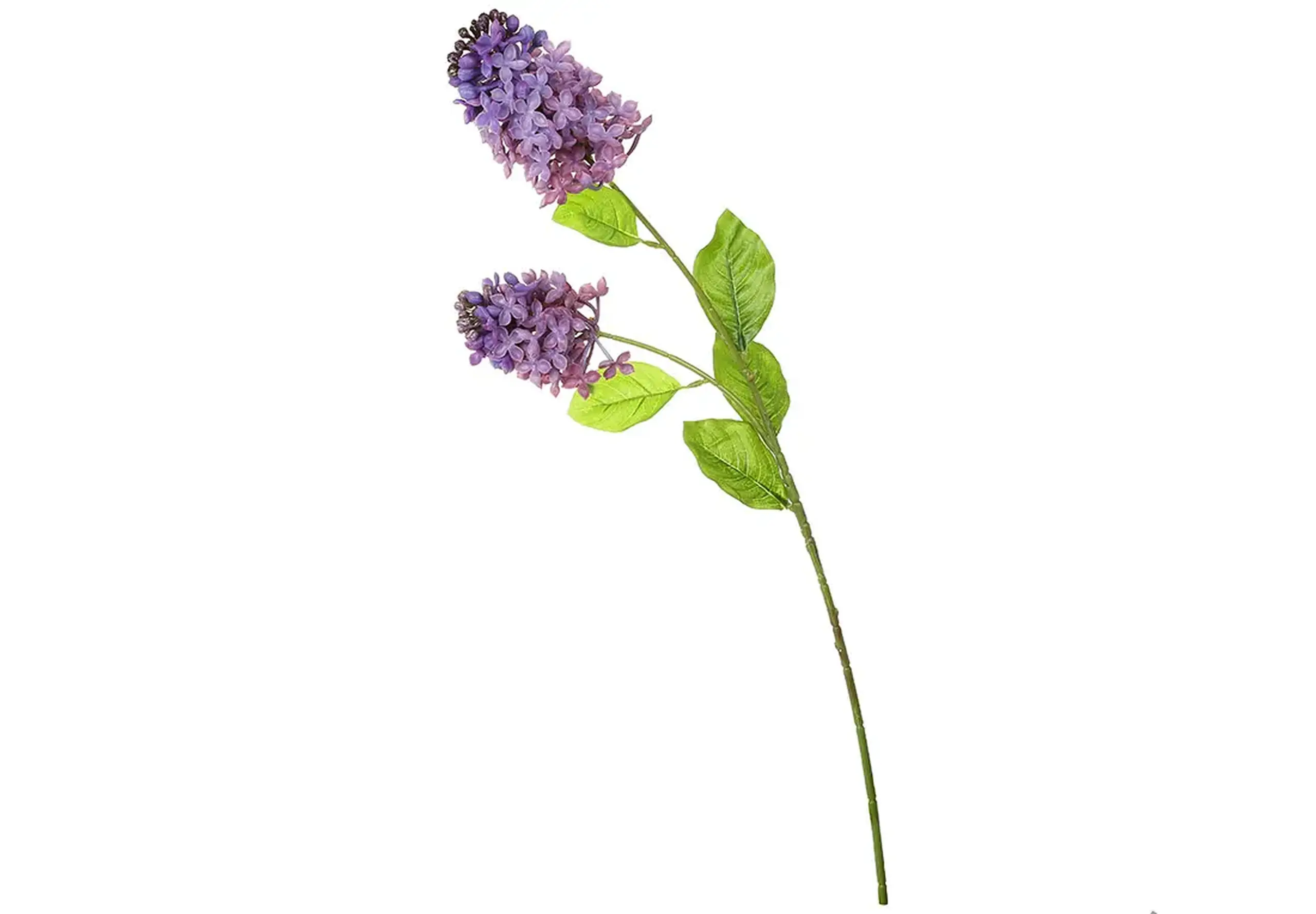 Creangă de Liliac, 70cm