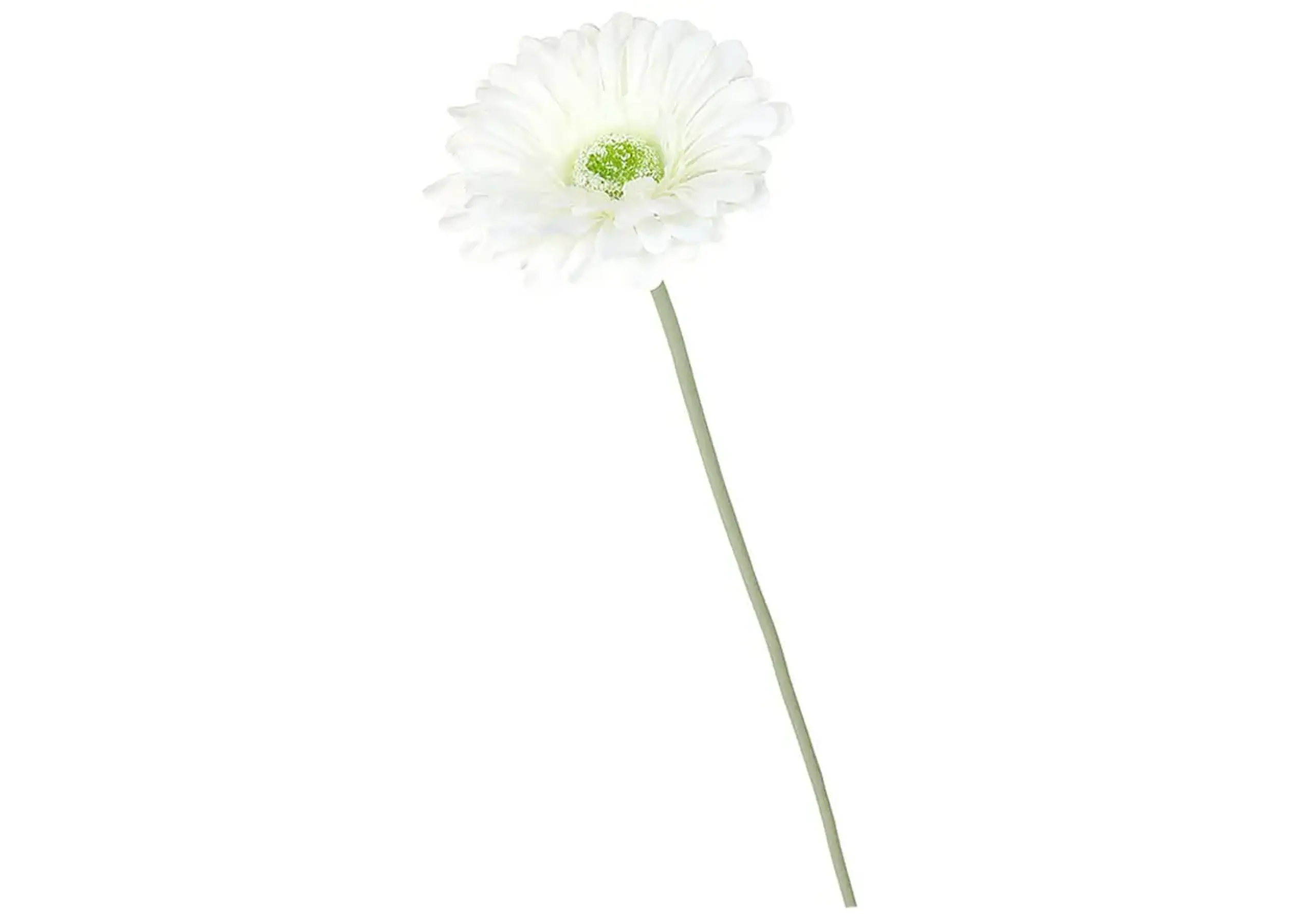 Gerberă 53 cm