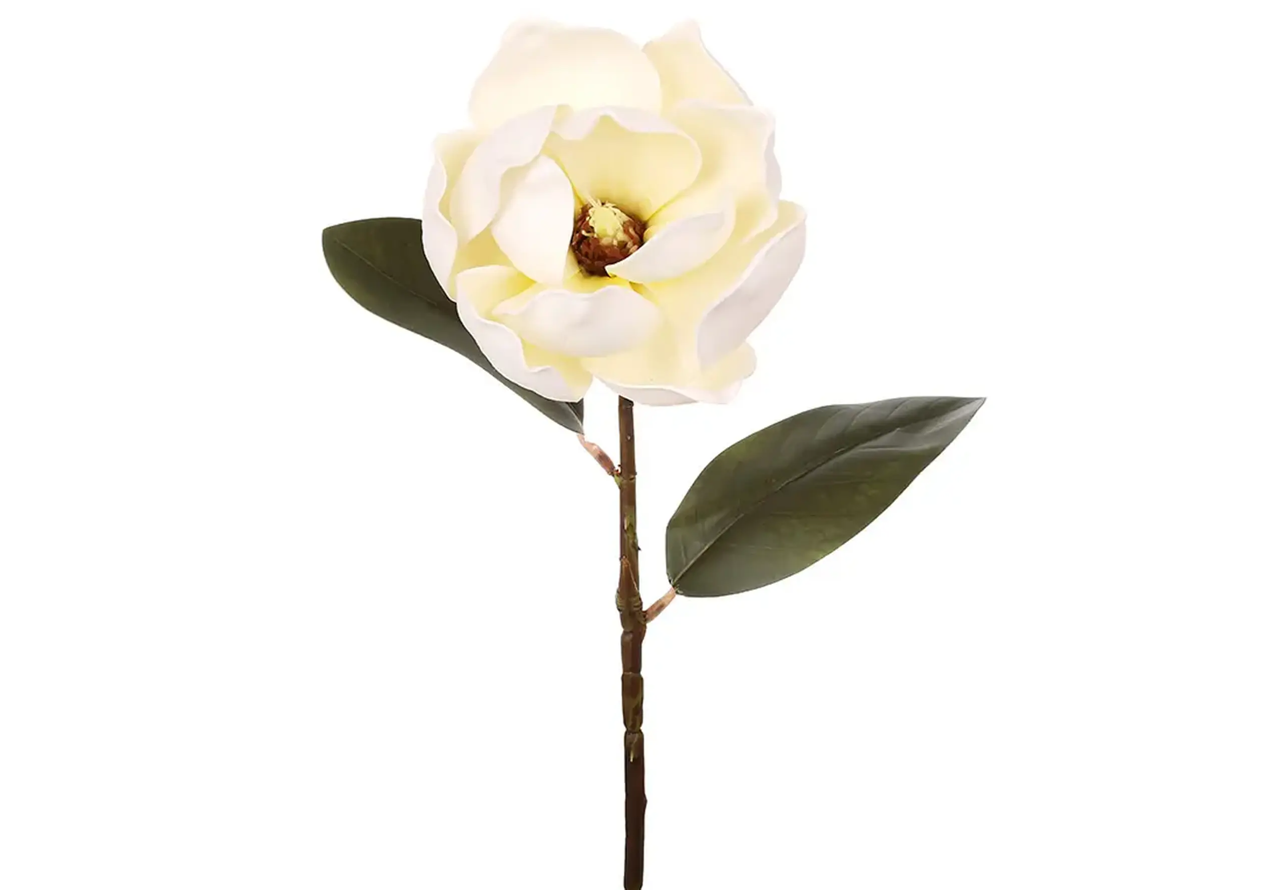 Magnolie pe tulpină, 48cm