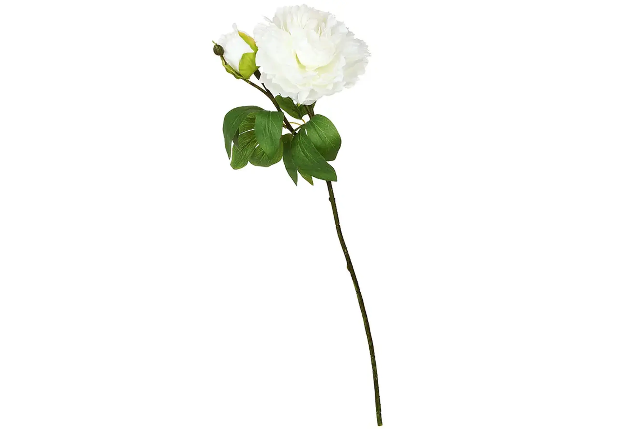 Bujor dublu pe tulpină, 64cm