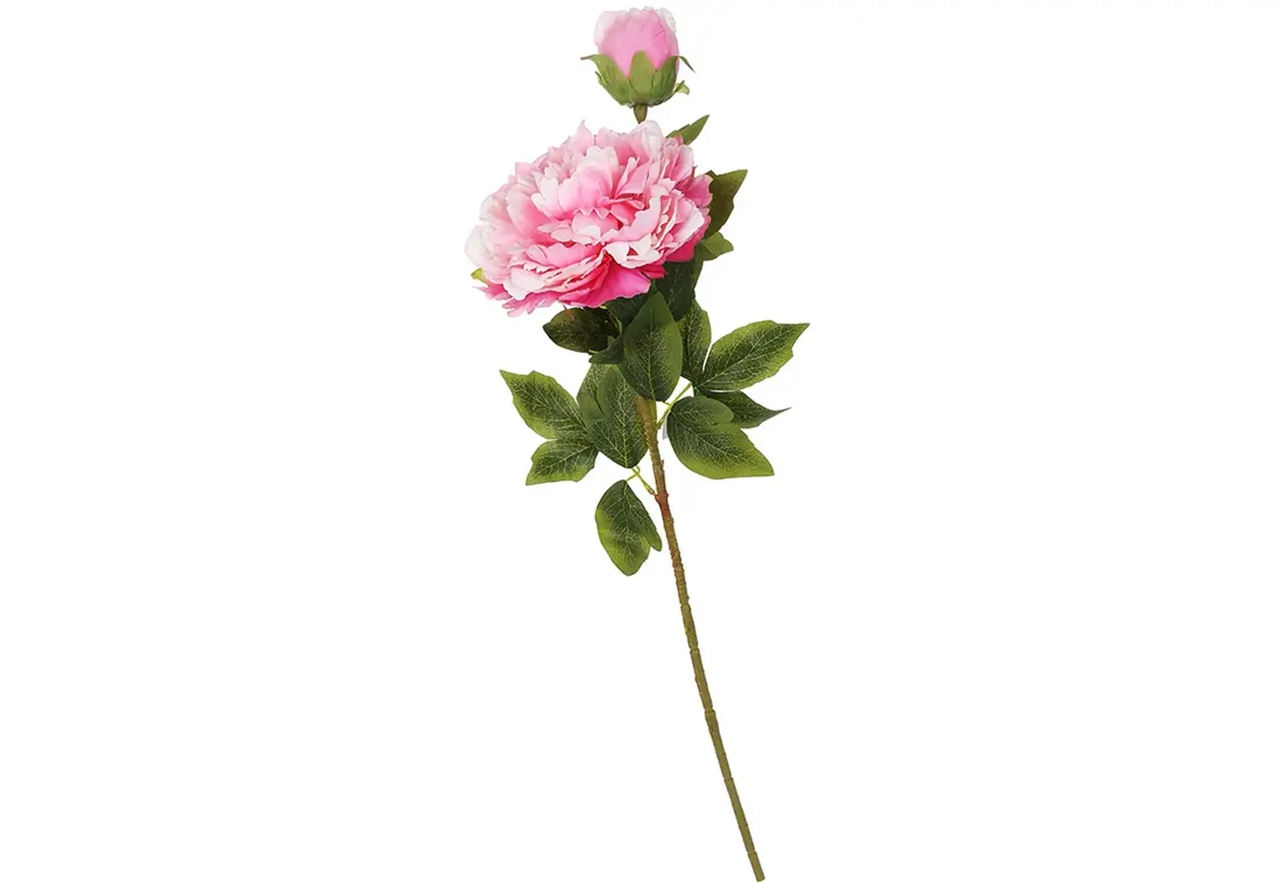 Bujori roz deschis 75cm
