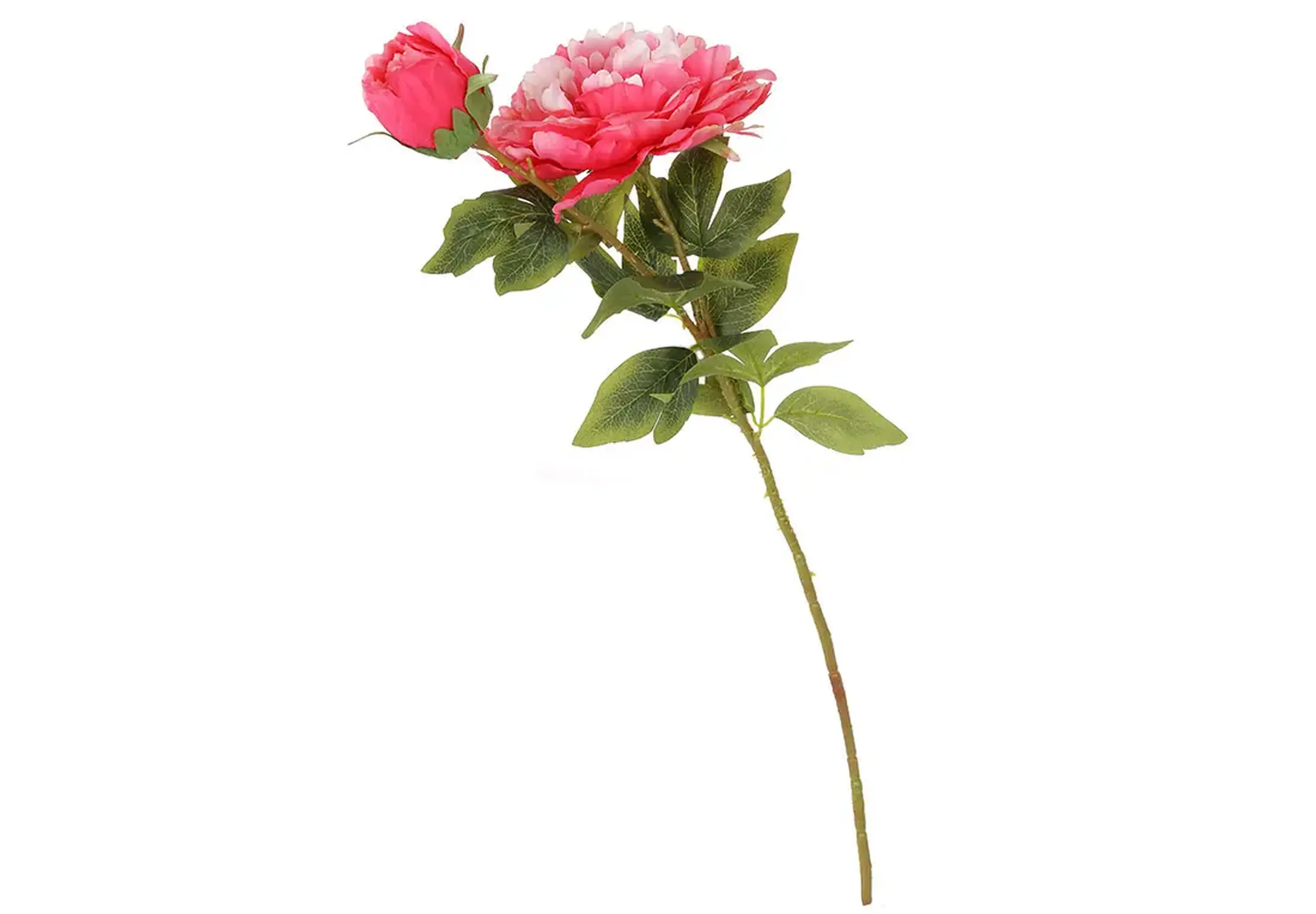 Bujori roz intens 75cm