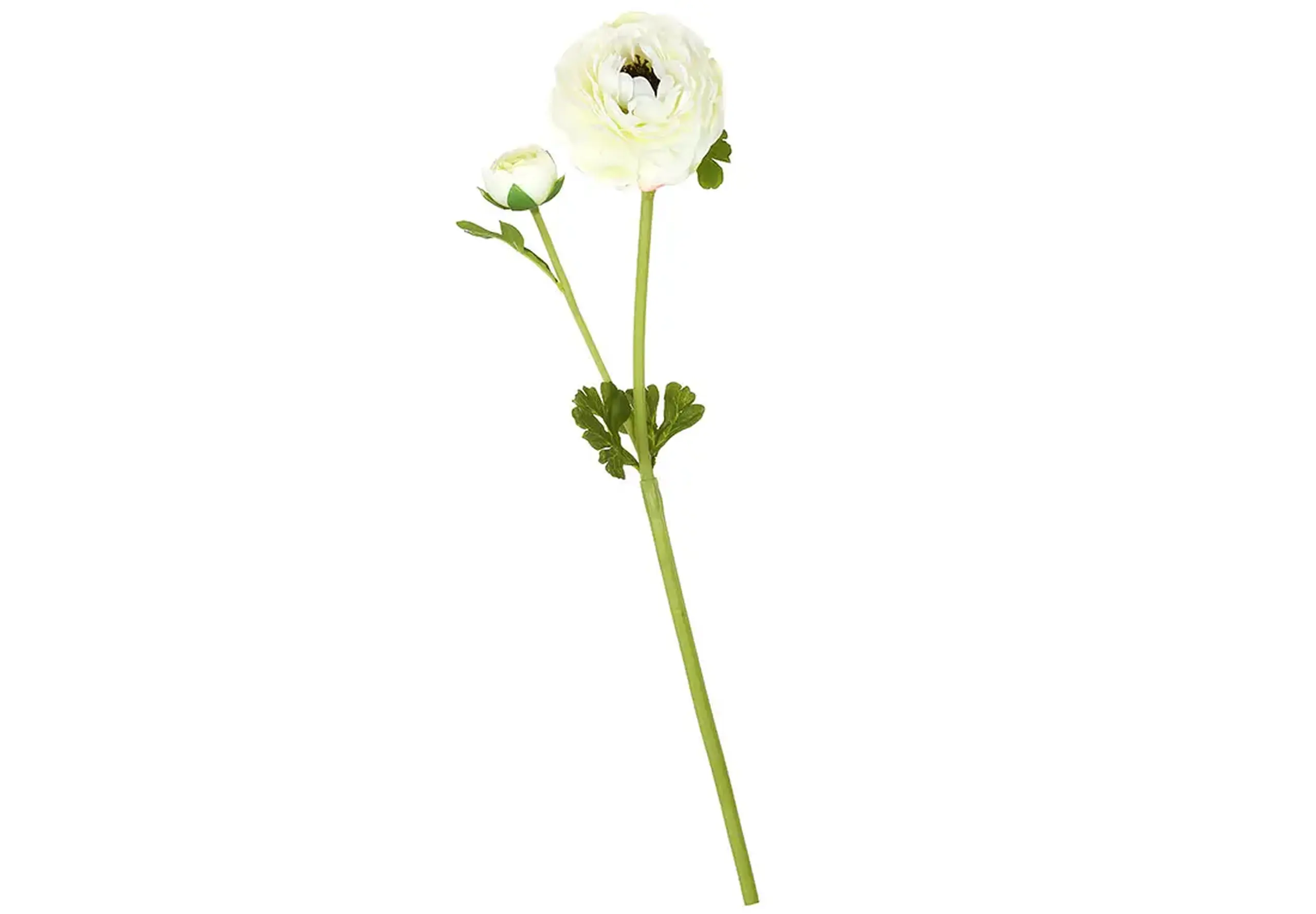 Ranunculus Deluxe 52 cm alb