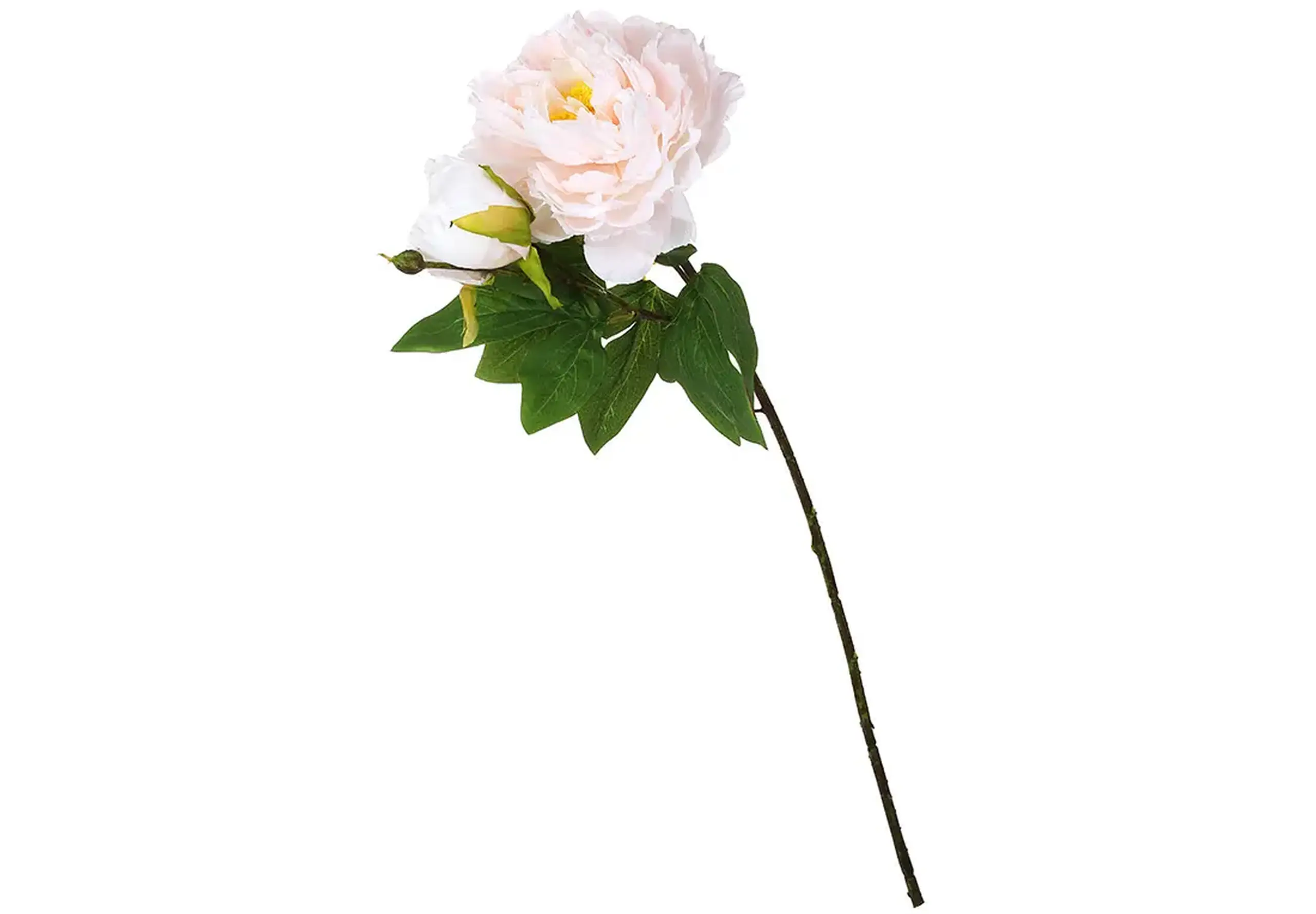 Bujor roz dublu pe tulpină, 64cm