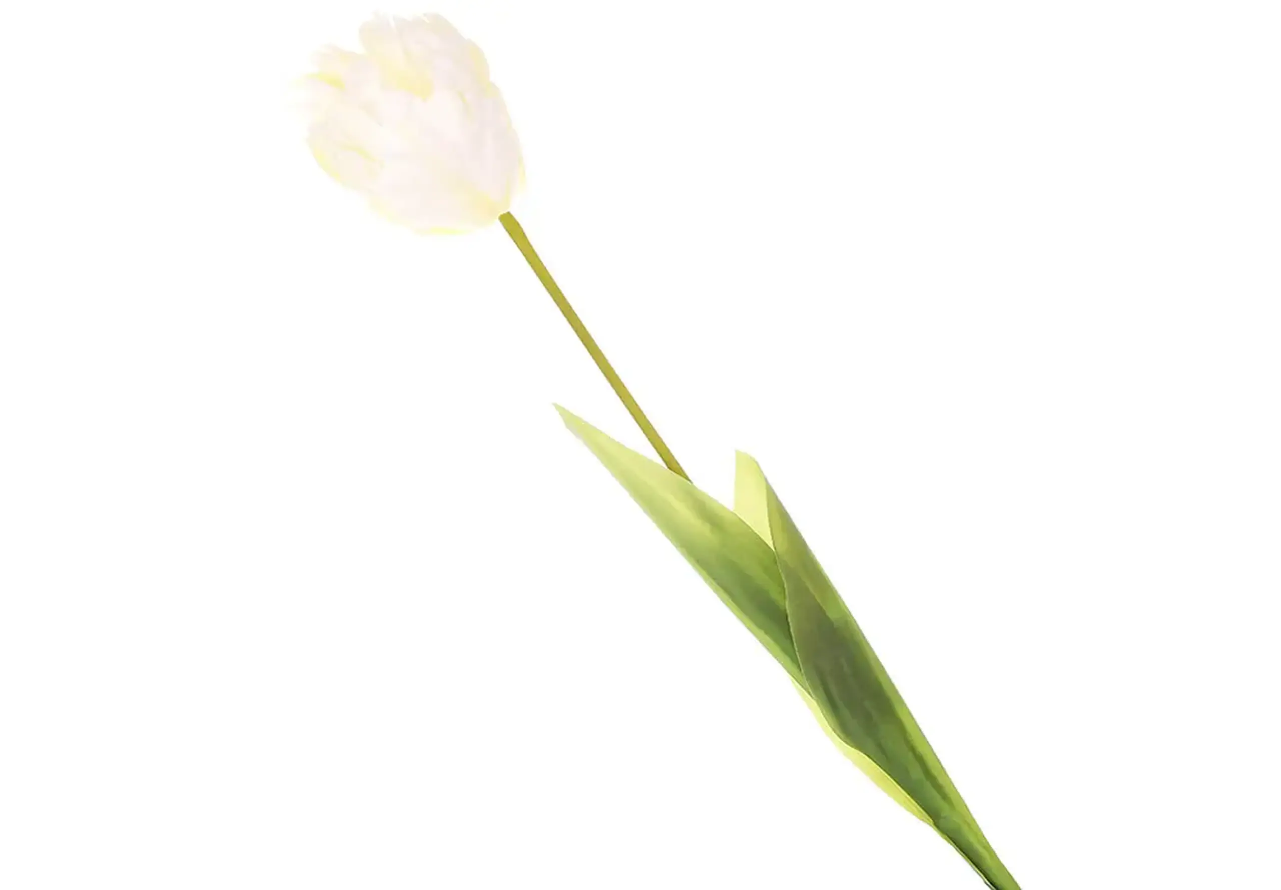 Lalea decorativă albă 70cm
