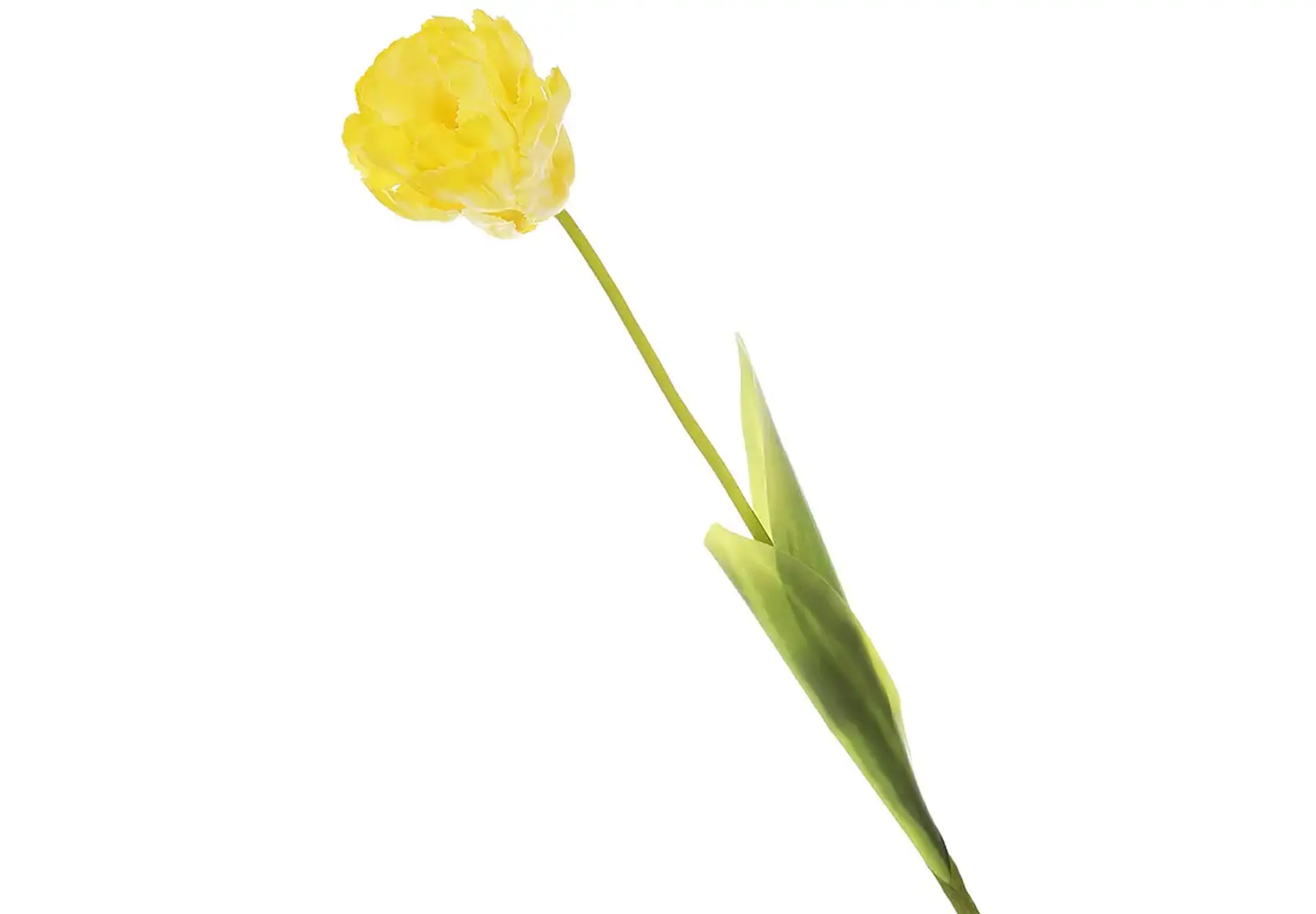 Lalea decorativă galbenă 70cm