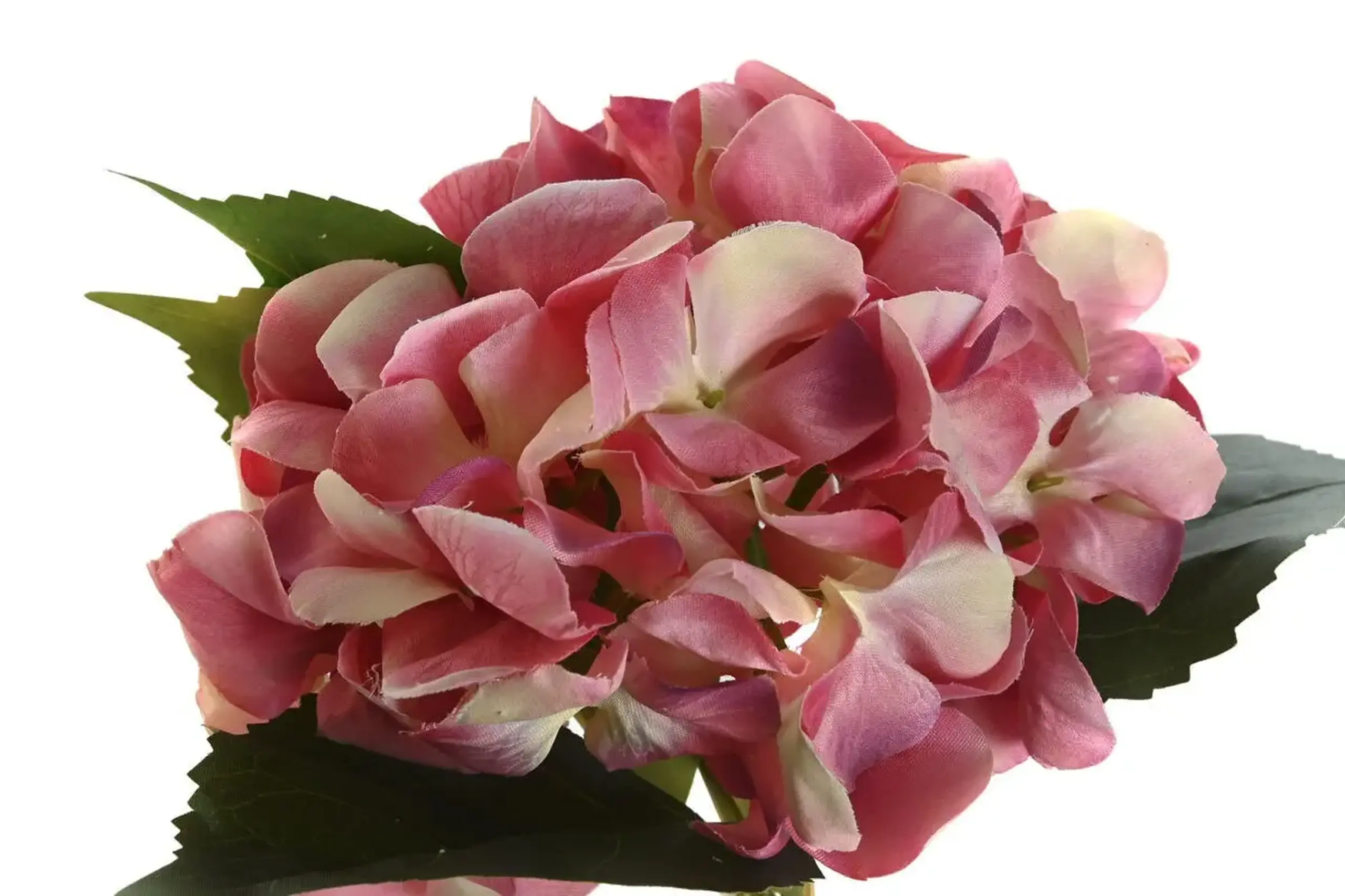 Buchet Hortensie roz