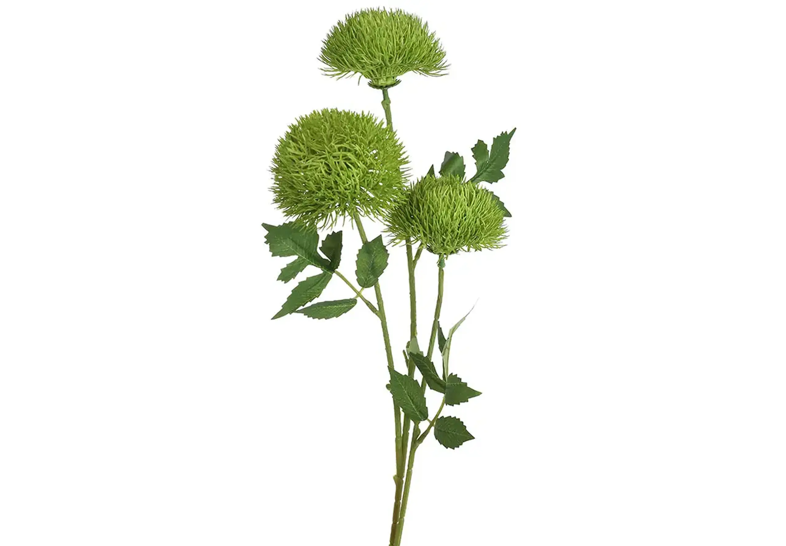 Ramură de Crizantemă verde, 3 flori, 71cm