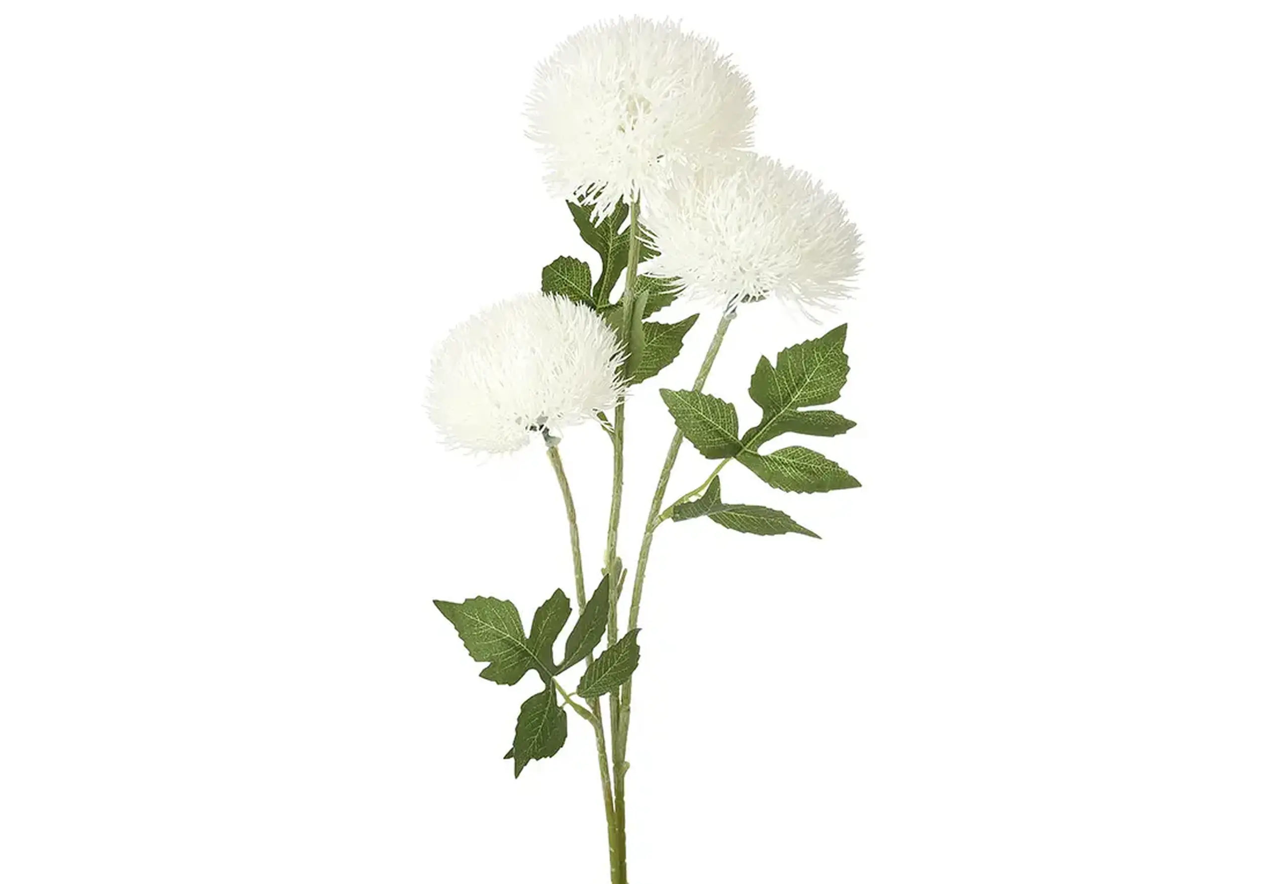 Ramură de Crizantemă albă, 3 flori, 71cm
