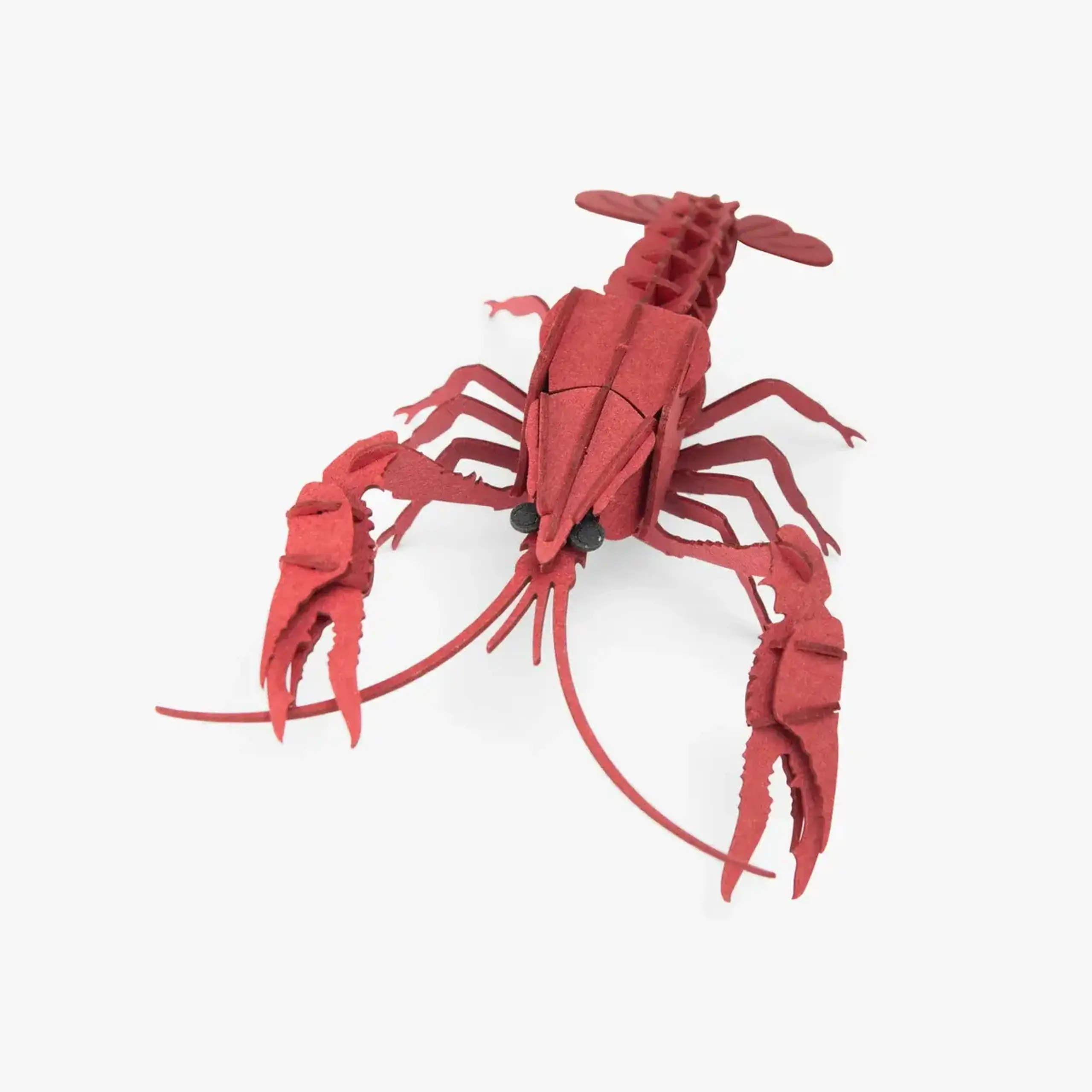 Puzzle 3D Rac de râu — Moulin Roty