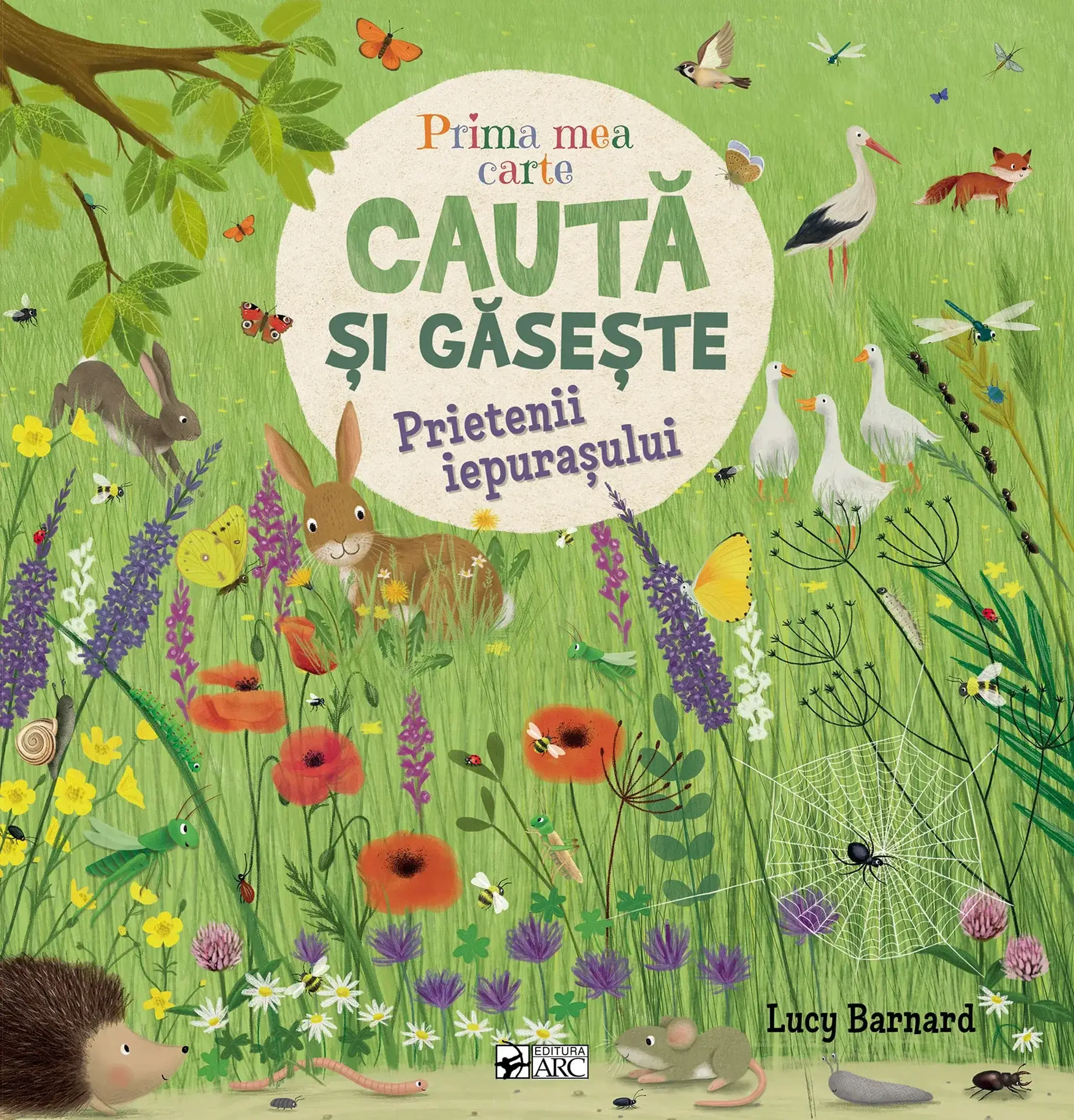 Prima mea carte caută și găsește. Prietenii iepurașului — Editura ARC