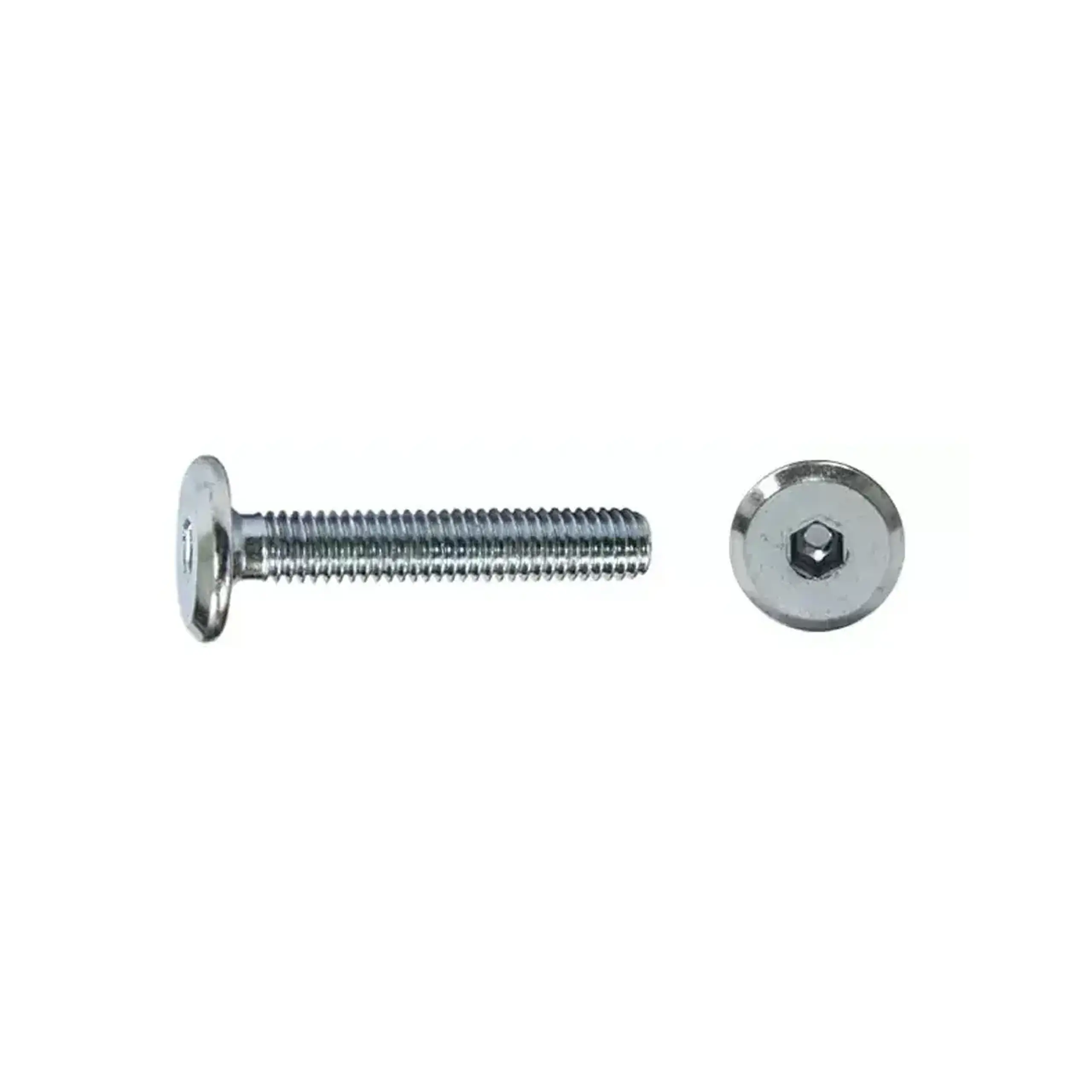 Șurub cu cap plat 6 * 15 mm 20 buc. Lider - 6 * 15 mm