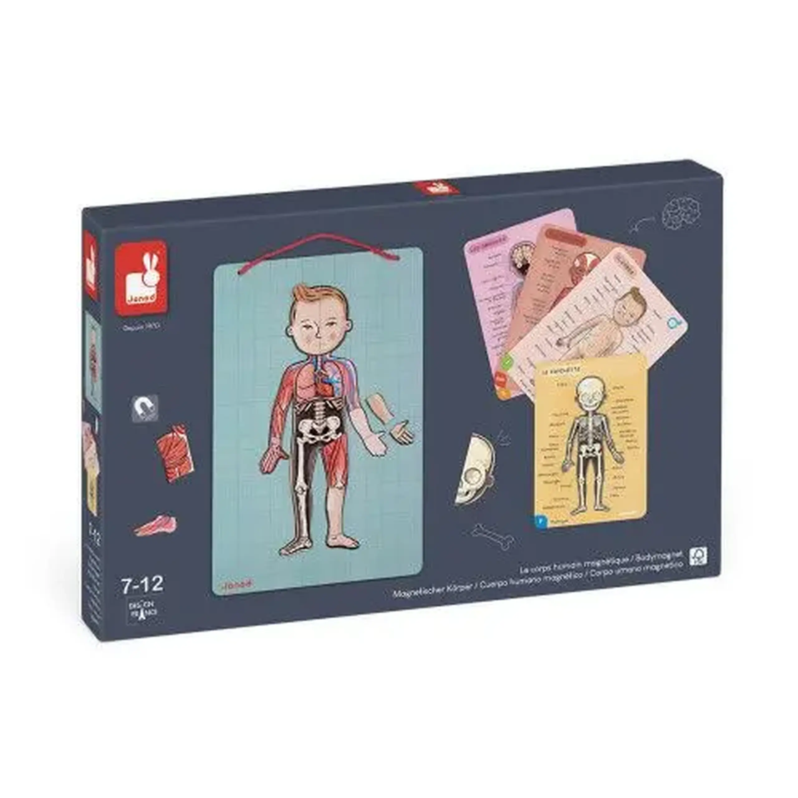 Joc magnetic de anatomie Body Magnet, 12 limbi — Janod
