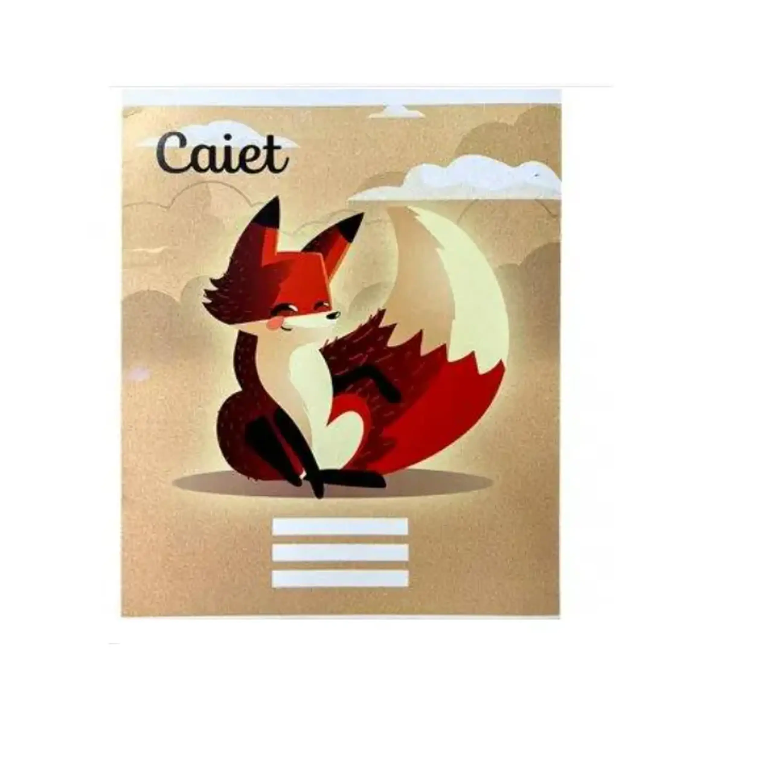 Caiet 12foi carton Linie