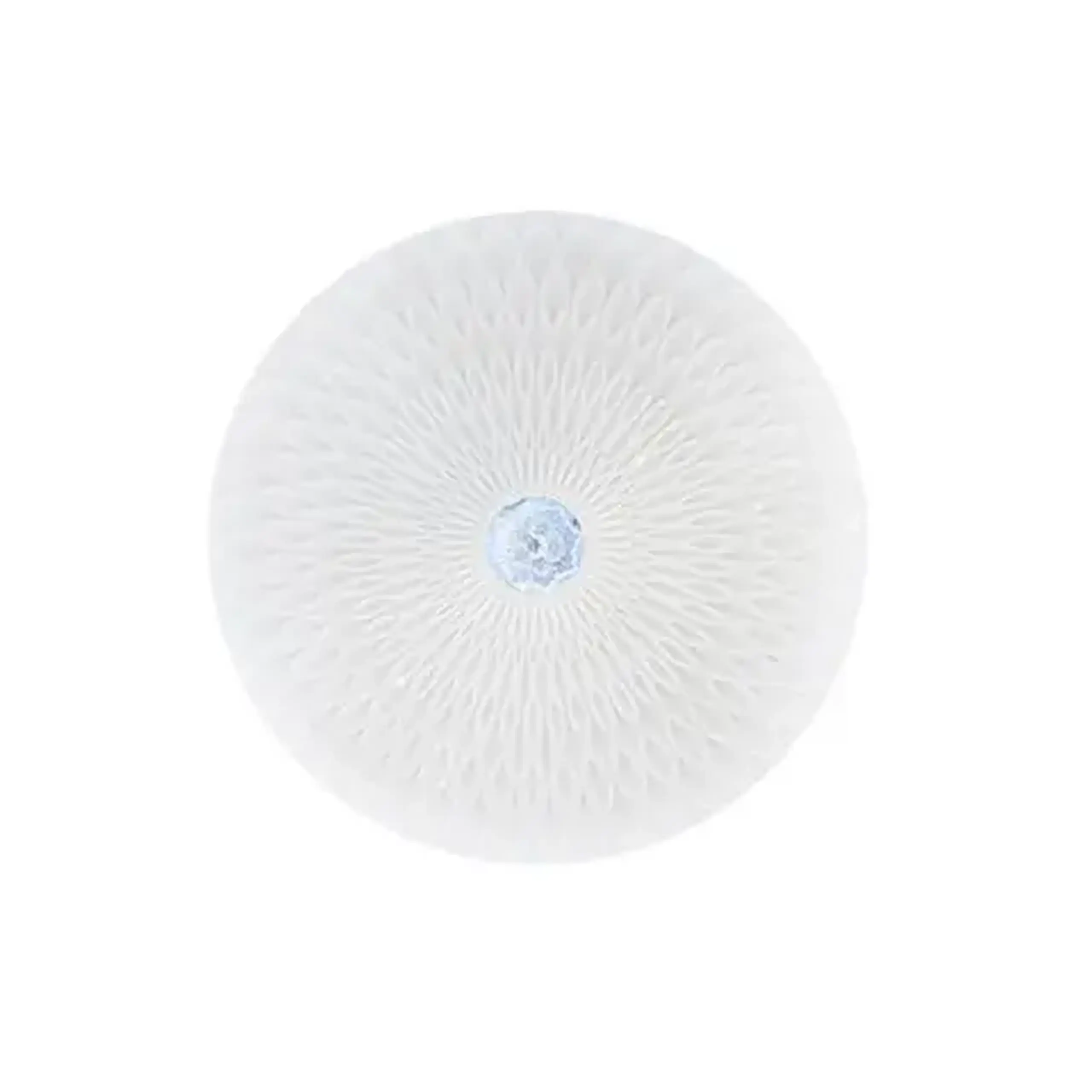 Plafonieră LED RADIUS 36 W SMD 6400 K 220 - 240 V IP20 Horoz - Puterea (W) 48 W
