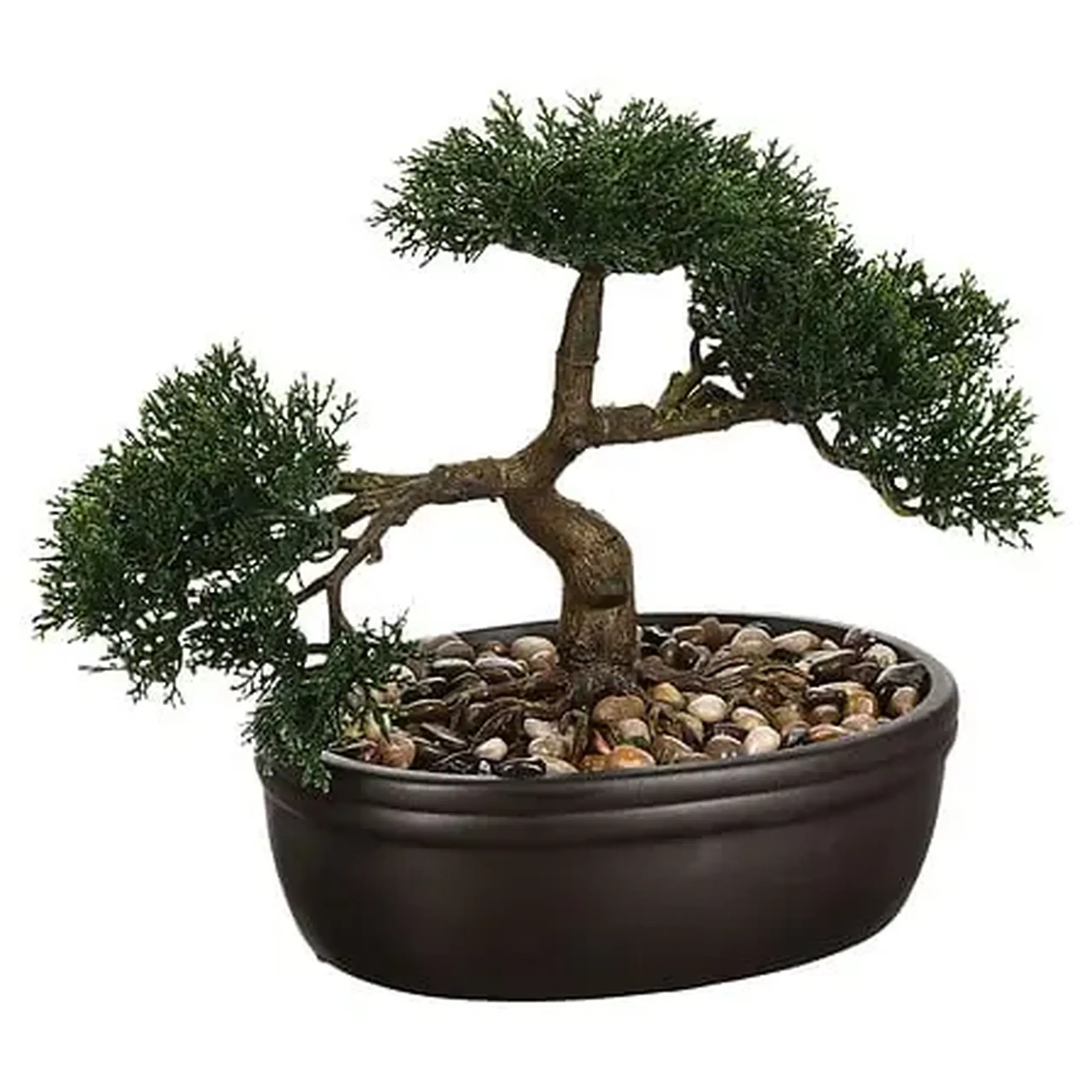 Floare BONSAI