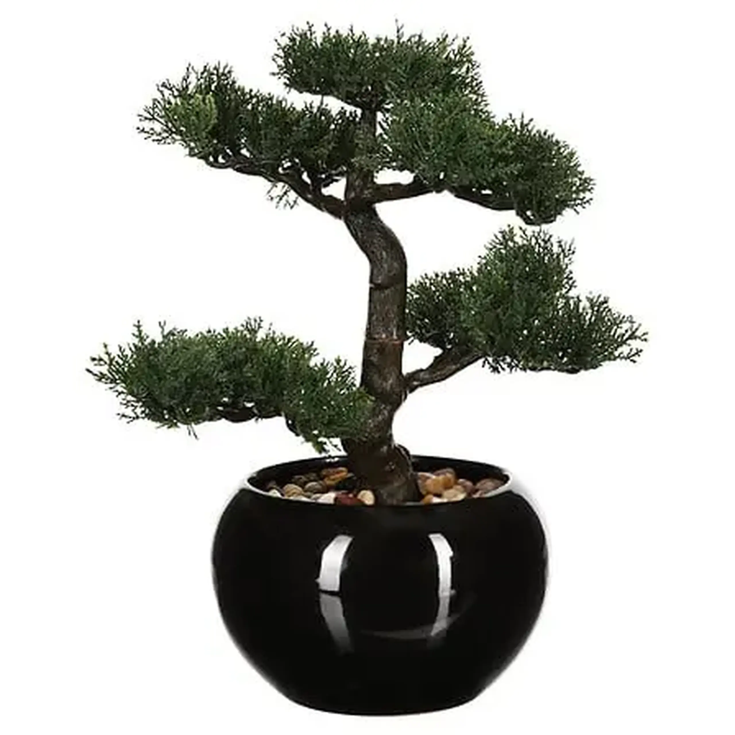 Bonsai cu ghiveci H36